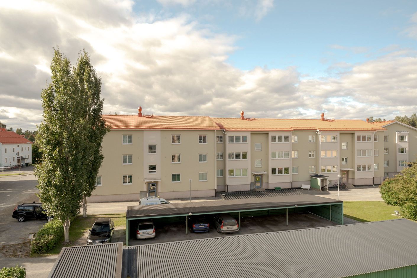 Exteriör