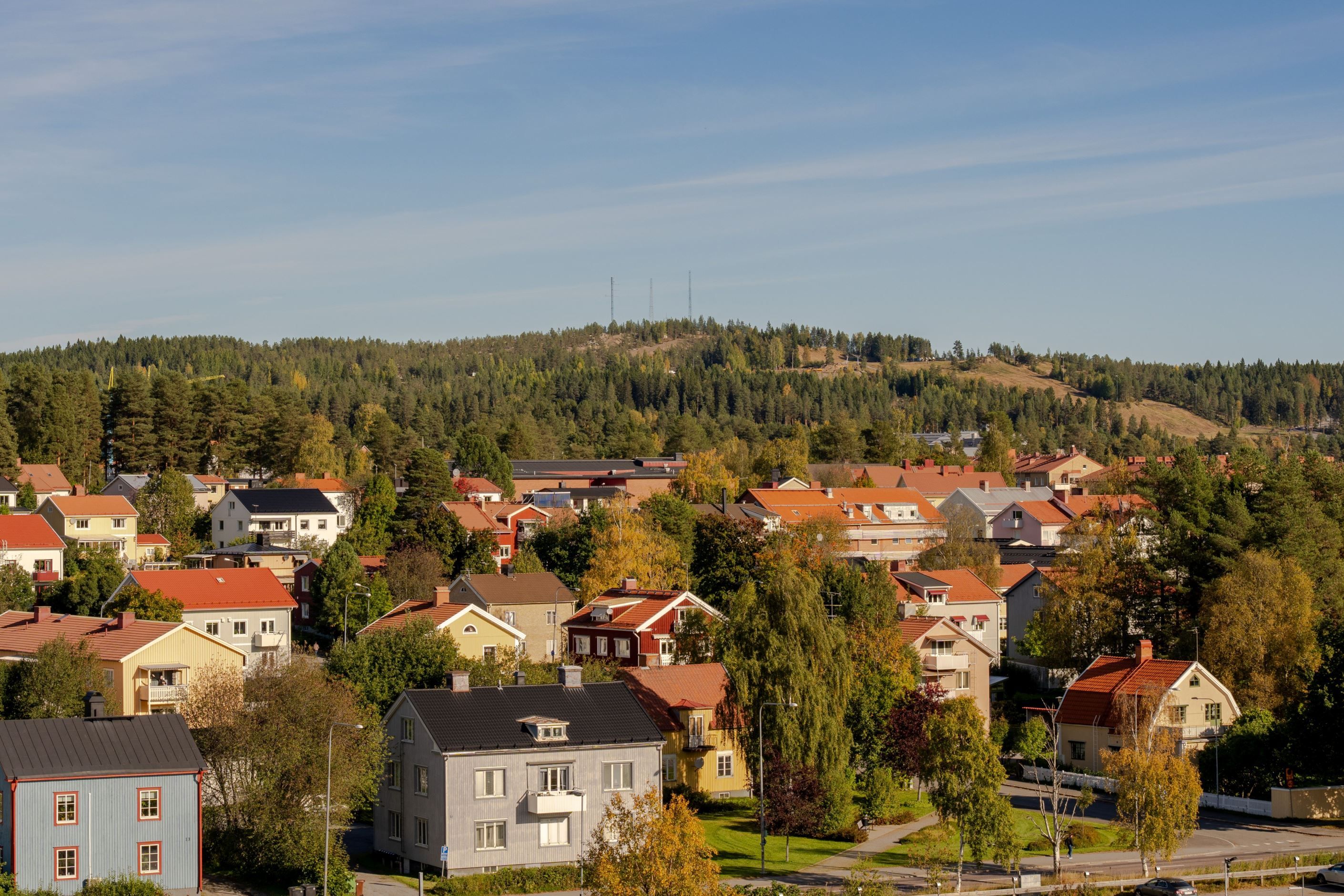 Gatubild