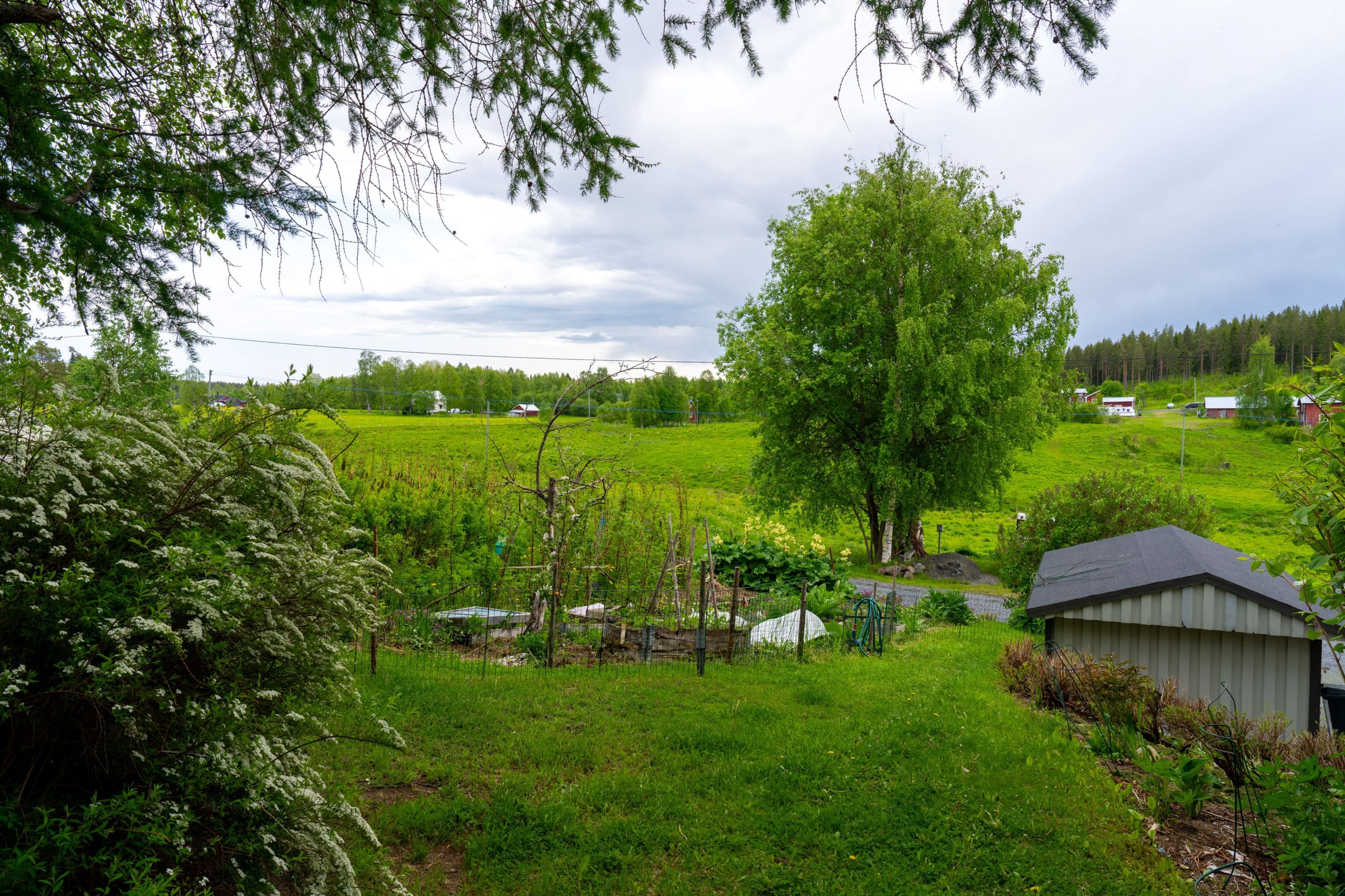 Områdesbild