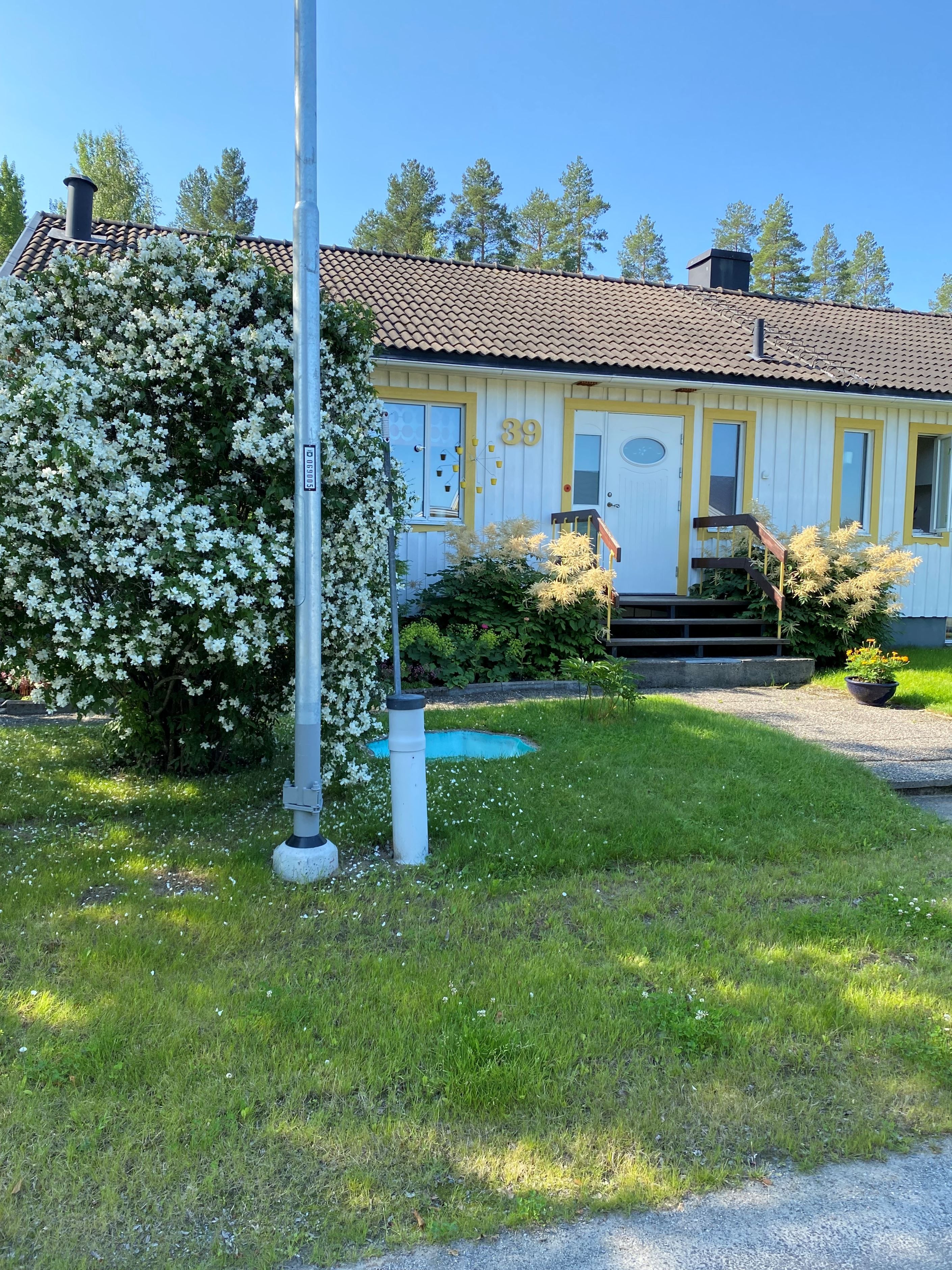 Säljarens egna bild