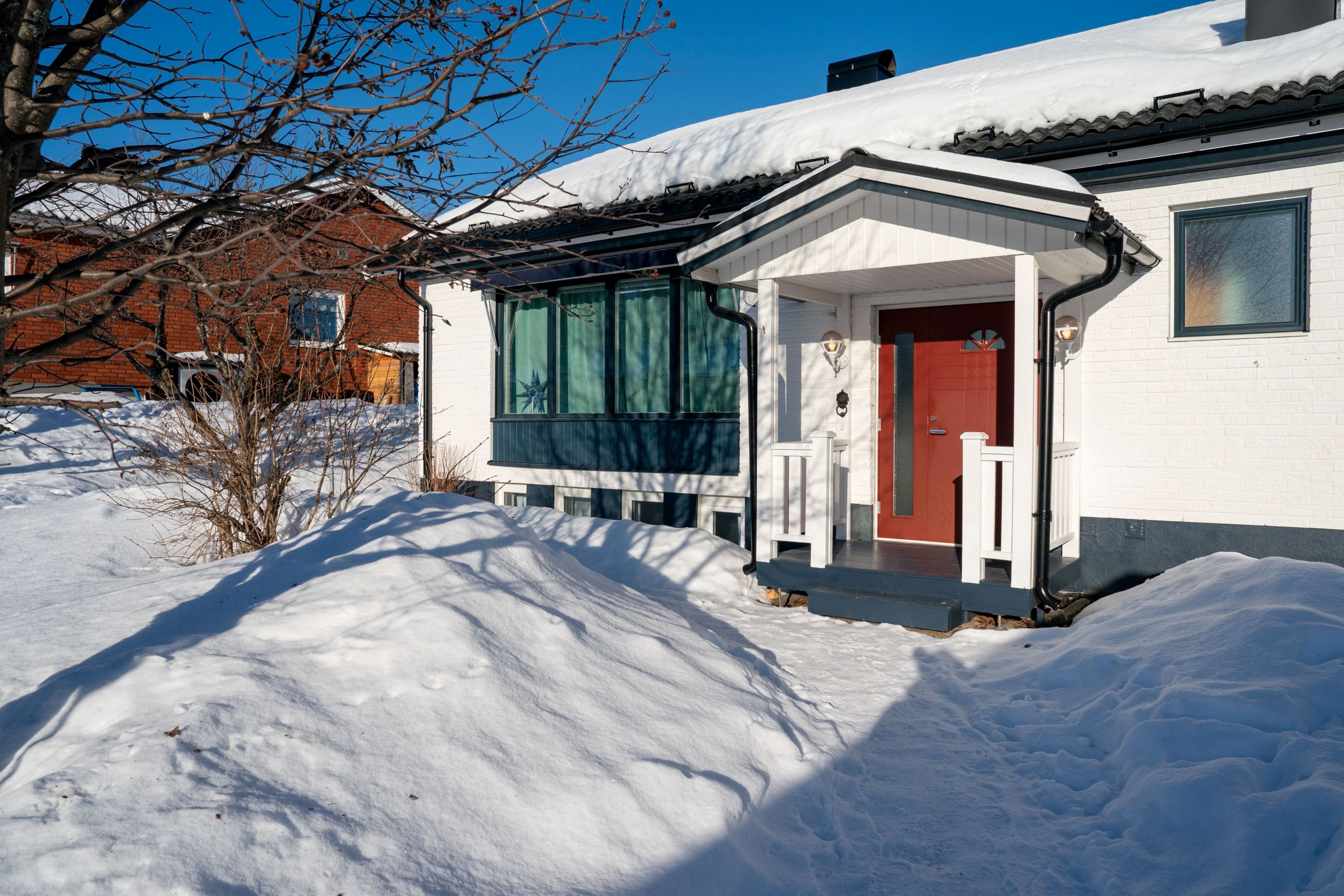 Exteriör