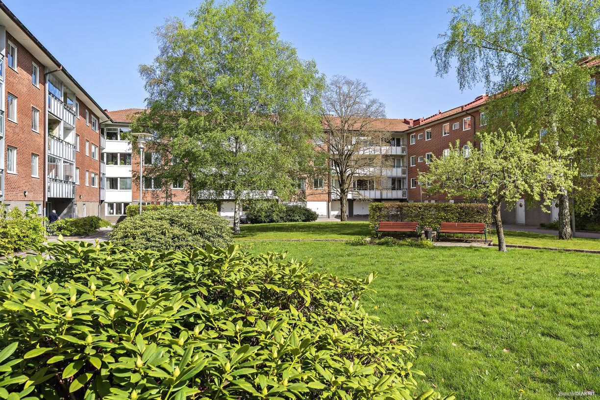 En av föreningens välskötta innergårdar