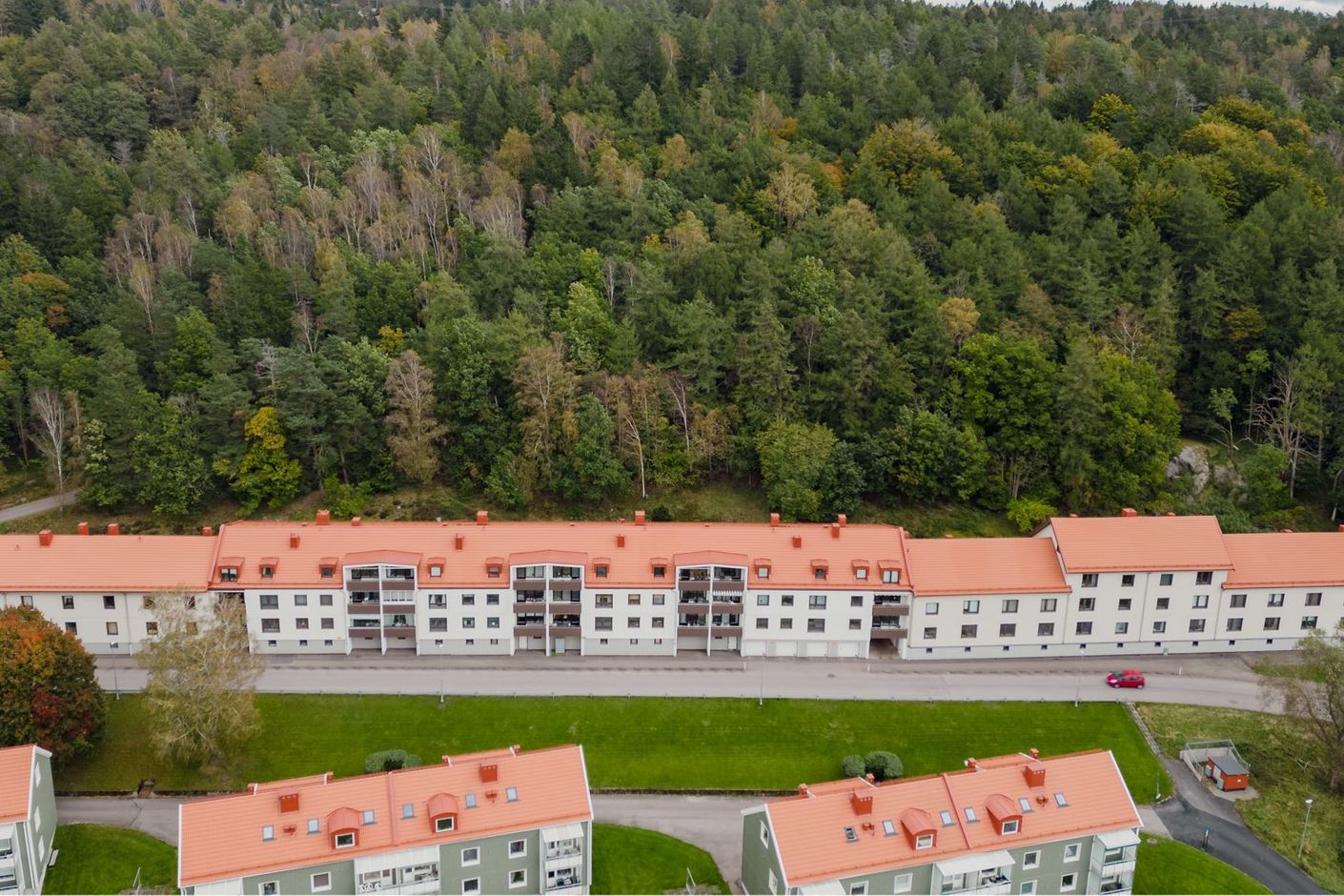 Exteriör
