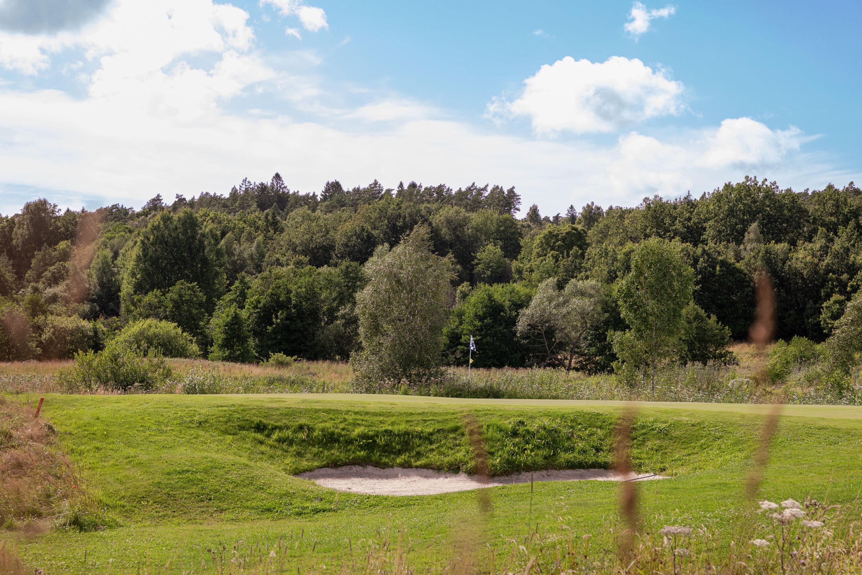 Områdesbild