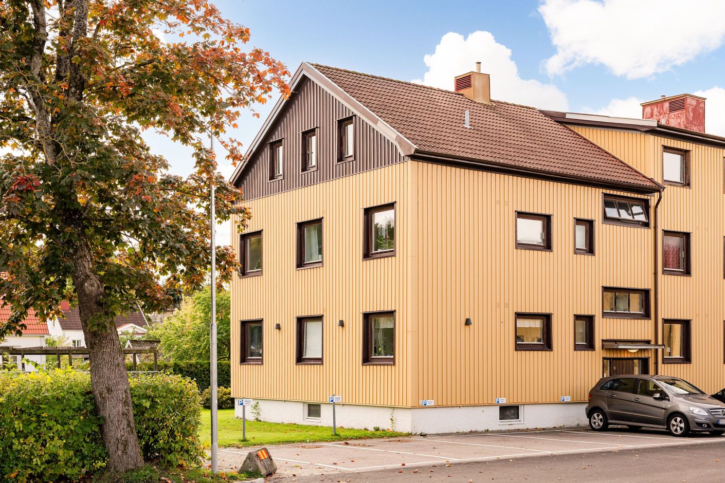 Bildkategori