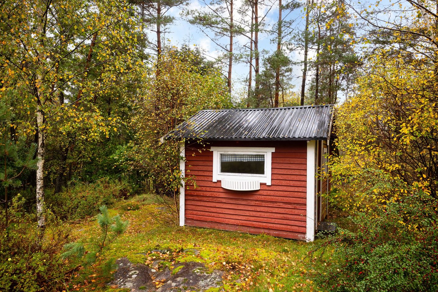 Exteriör