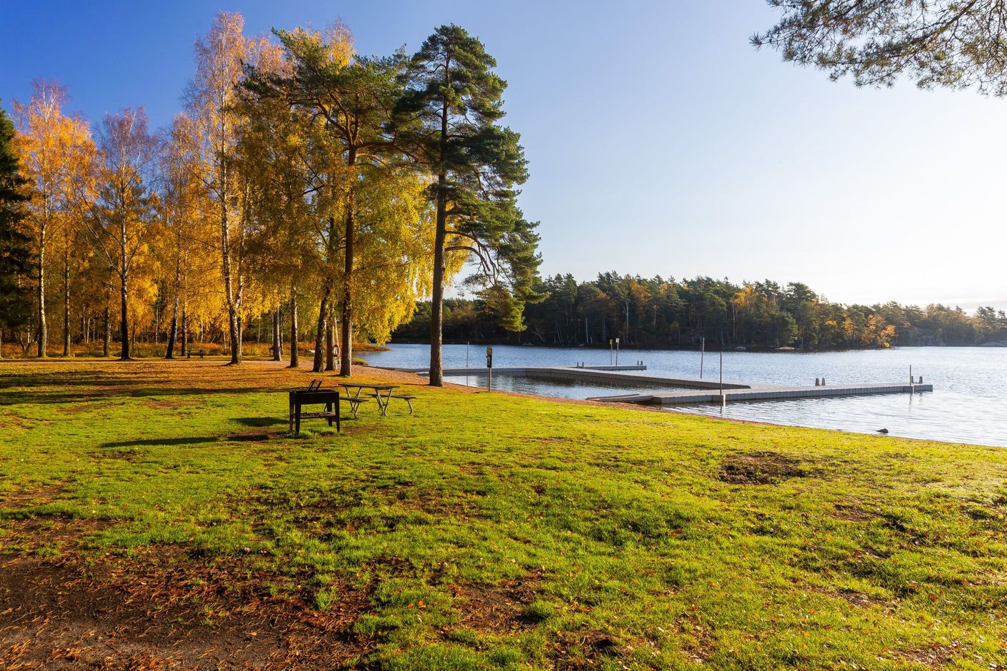 Bildkategori