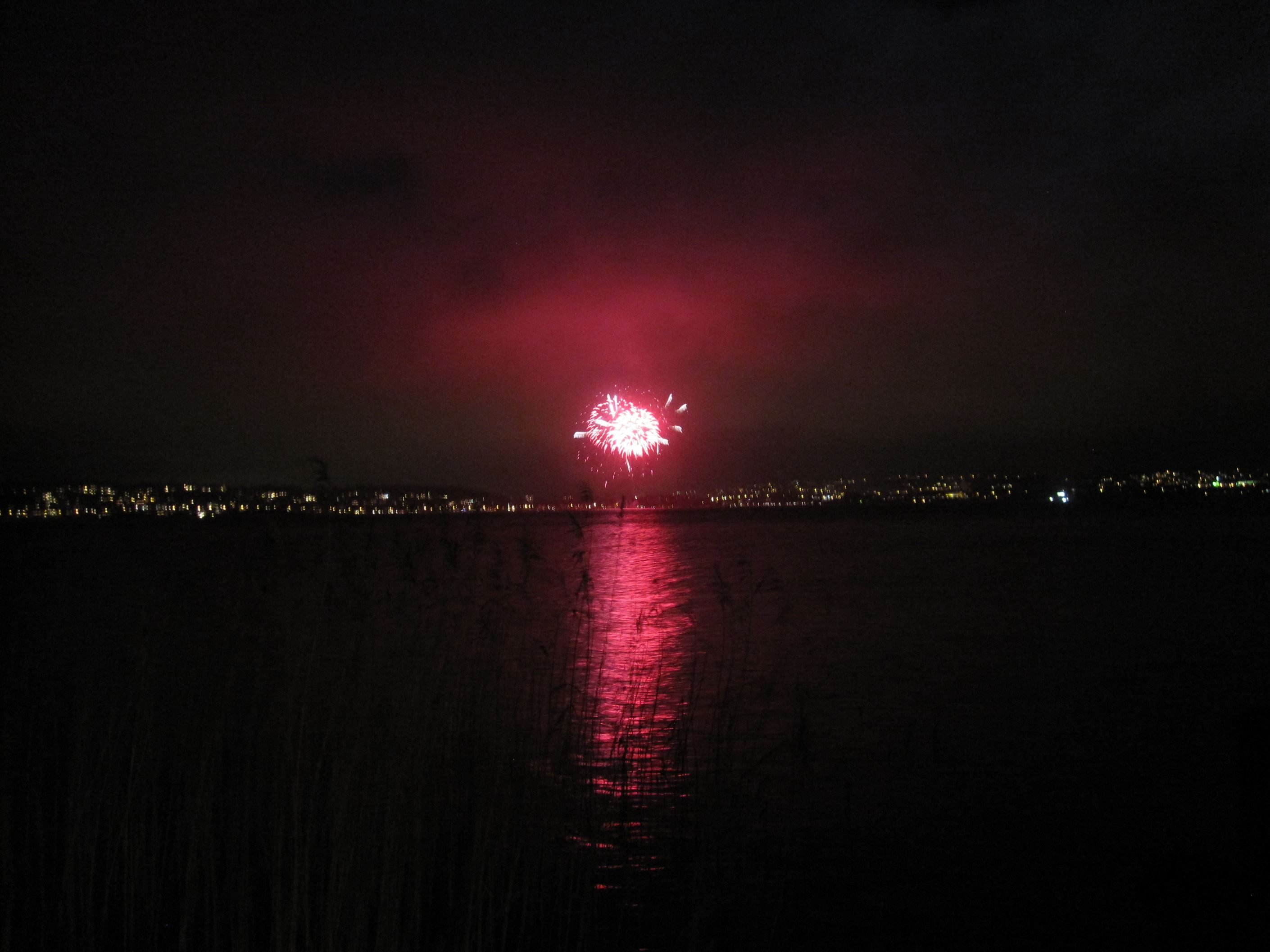 Säljarens egna foto