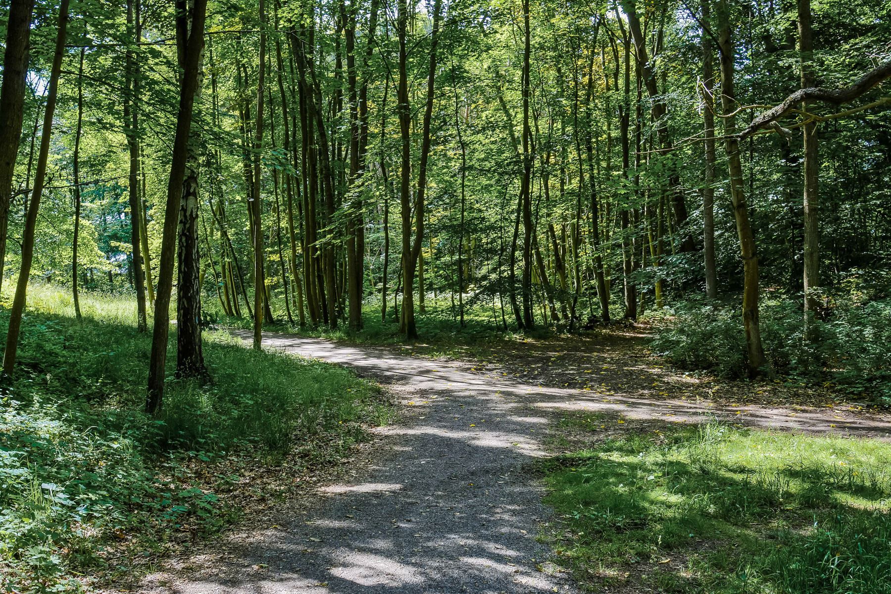 Gångavstånd till naturreservat