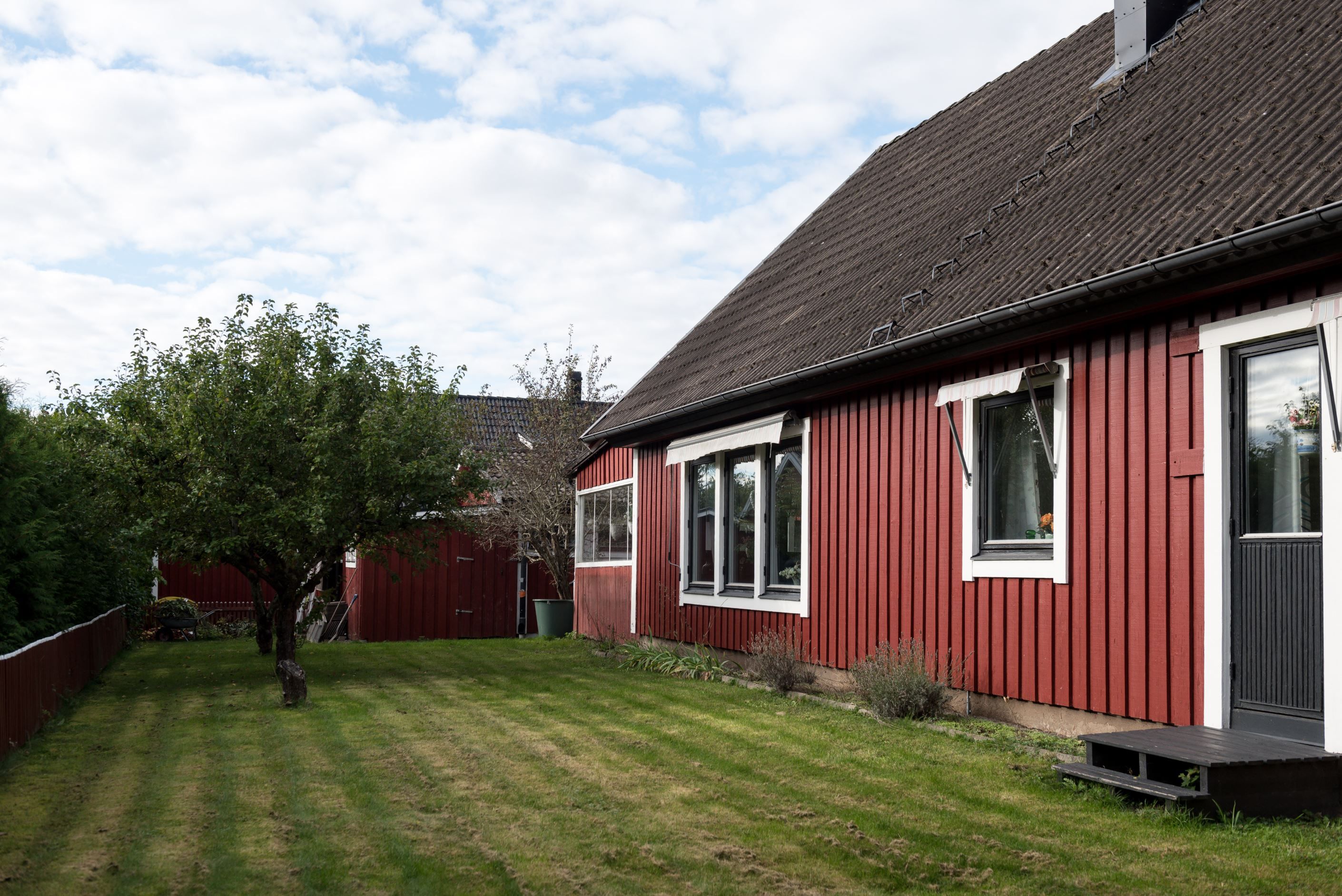 Exteriör