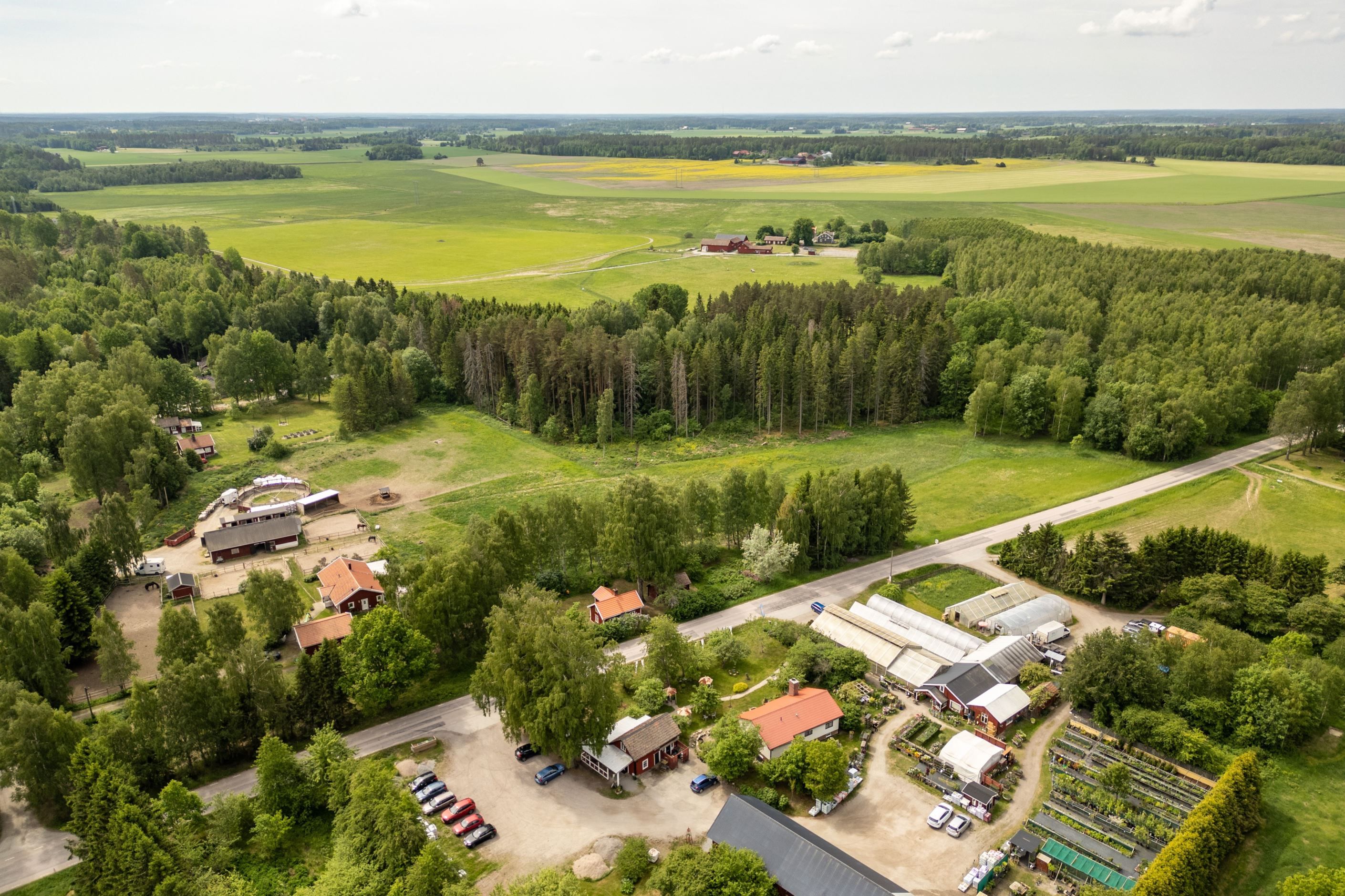 Bildkategori