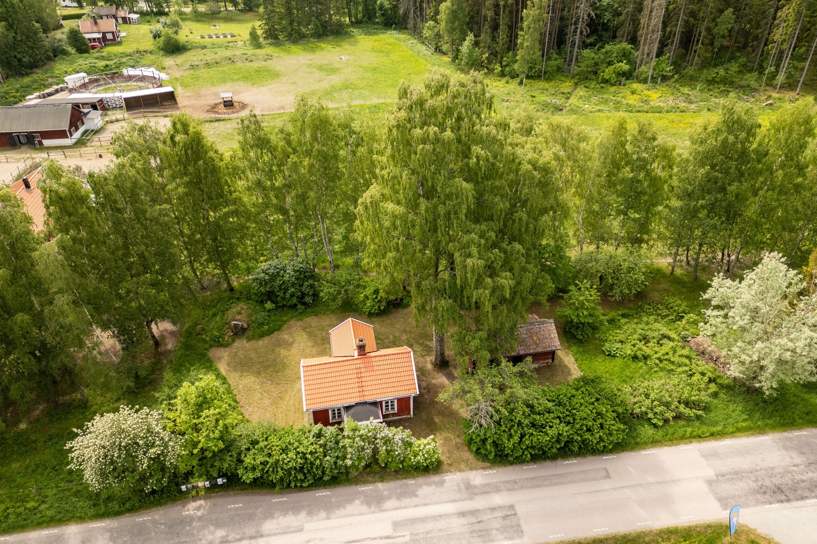 Bildkategori