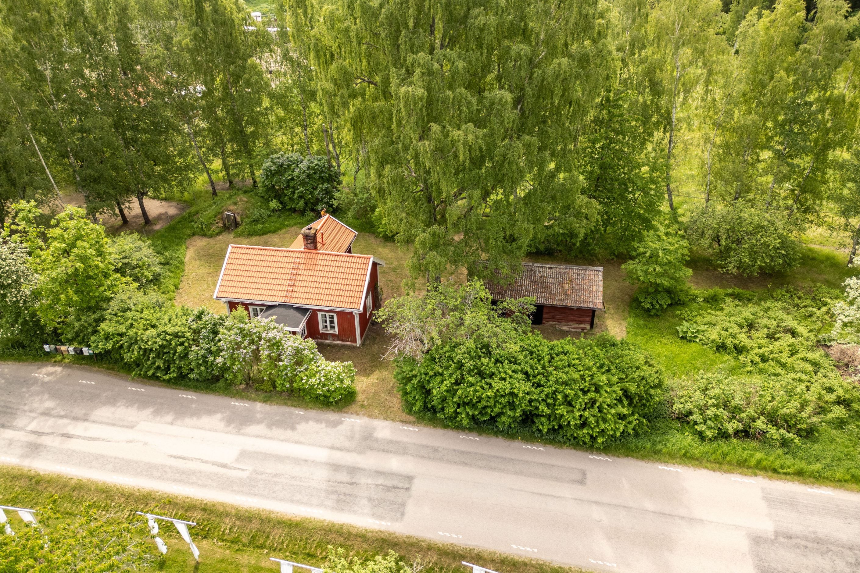 Bildkategori