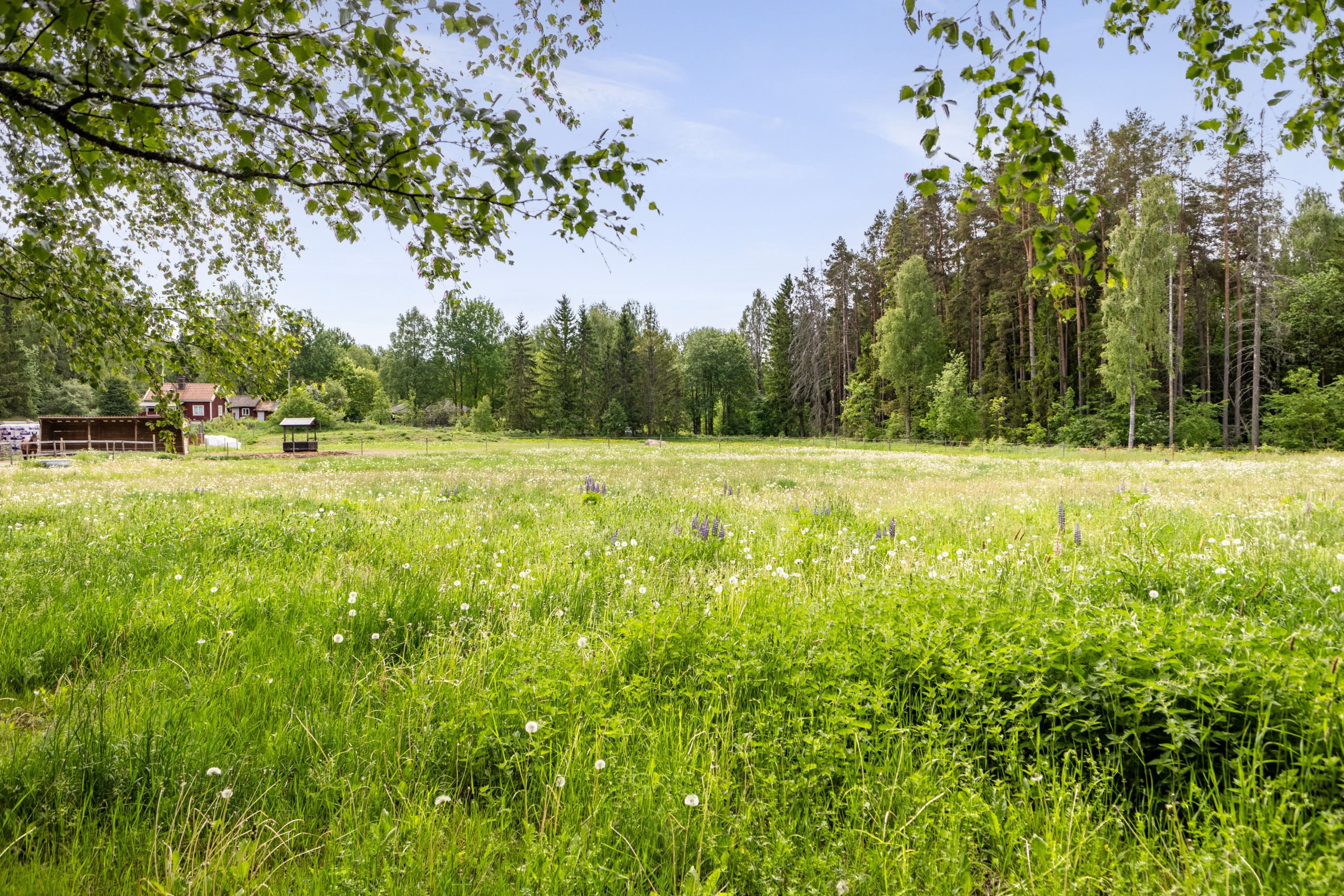 Bildkategori