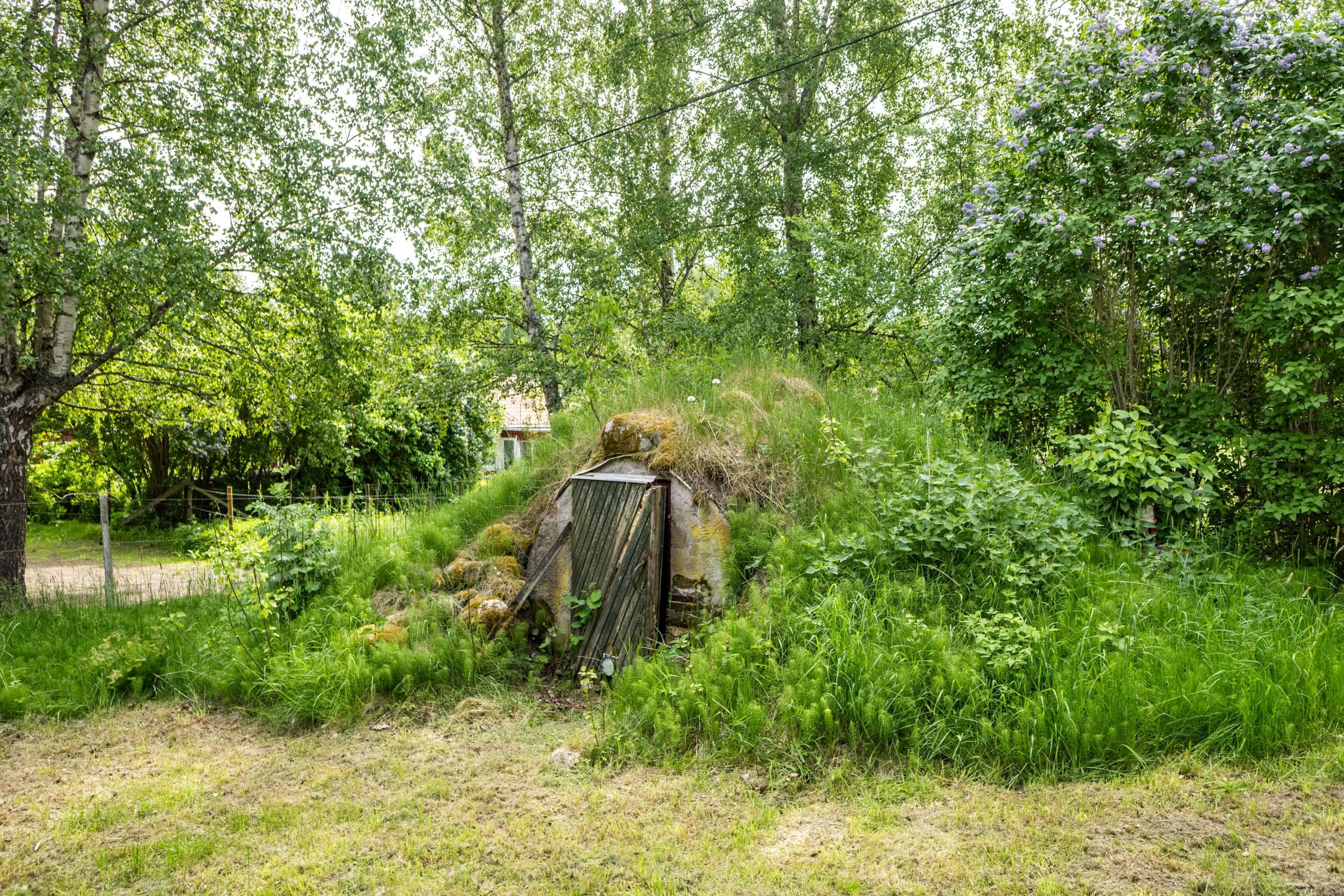 Bildkategori