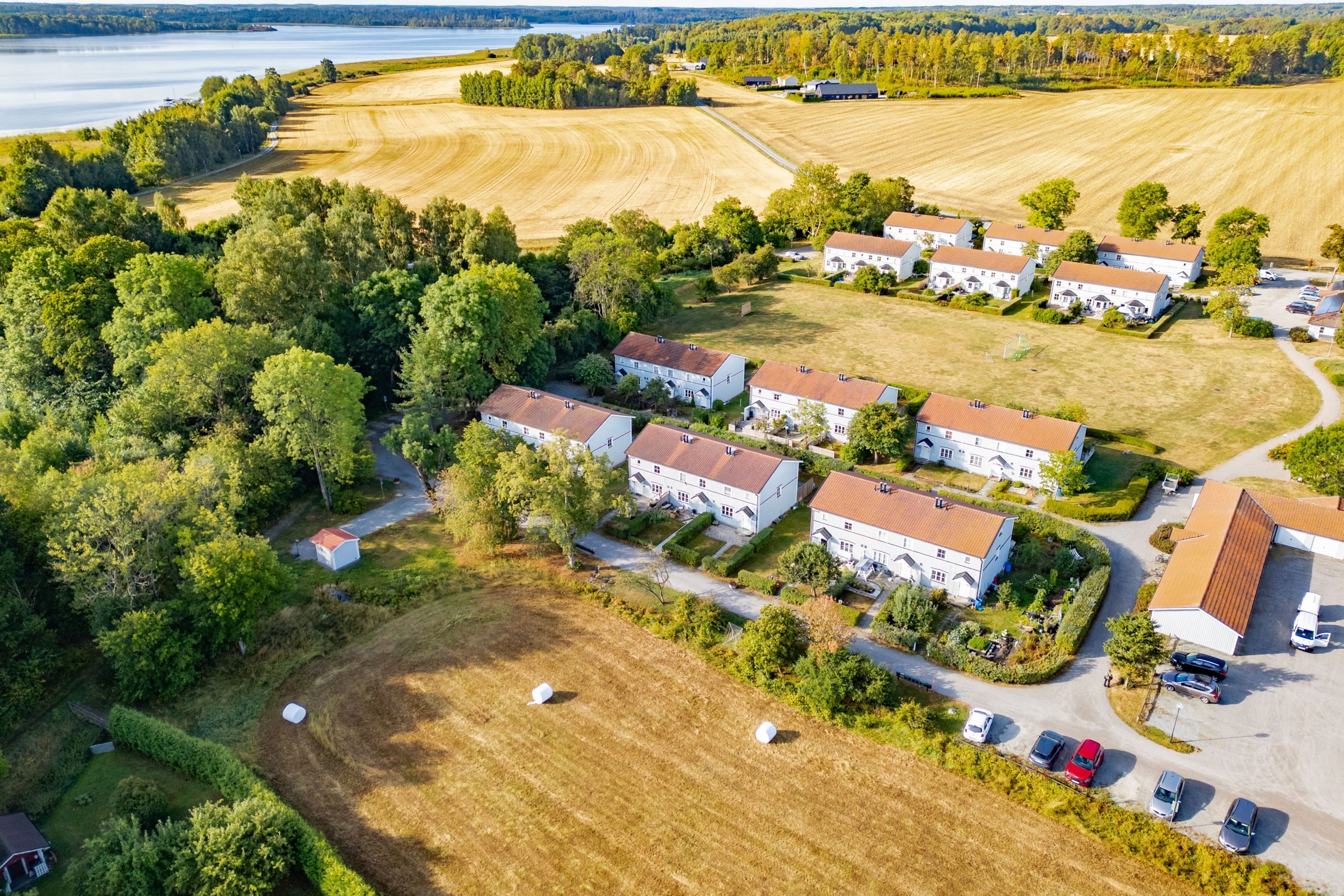 Bildkategori