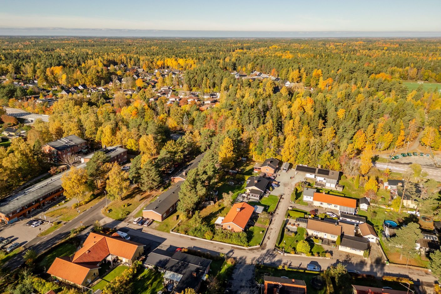 Bildkategori