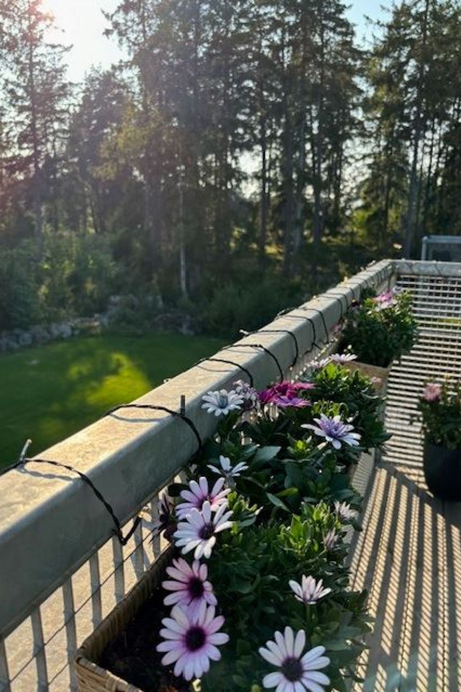 Säljarens bild