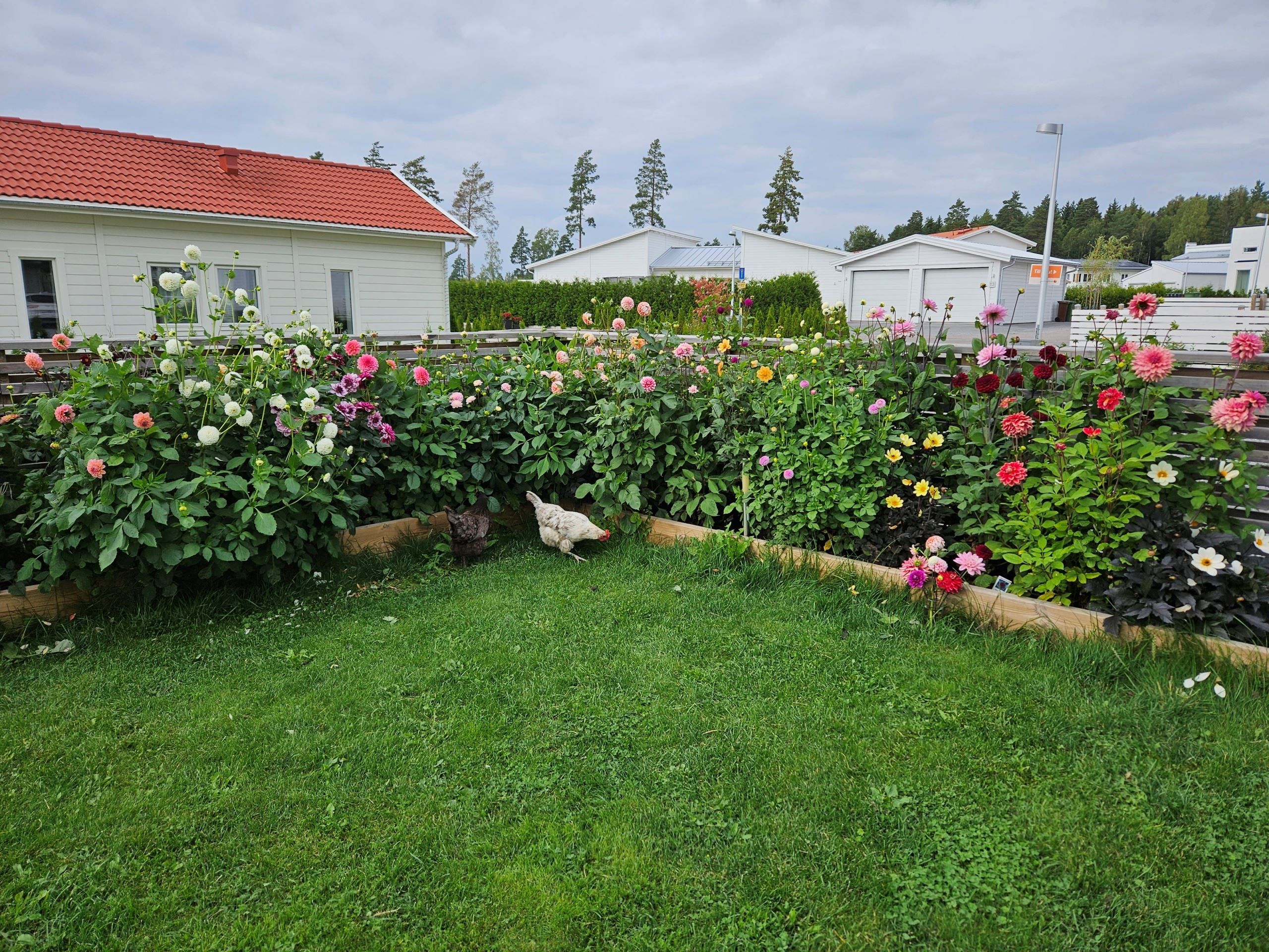 Säljarens bild.