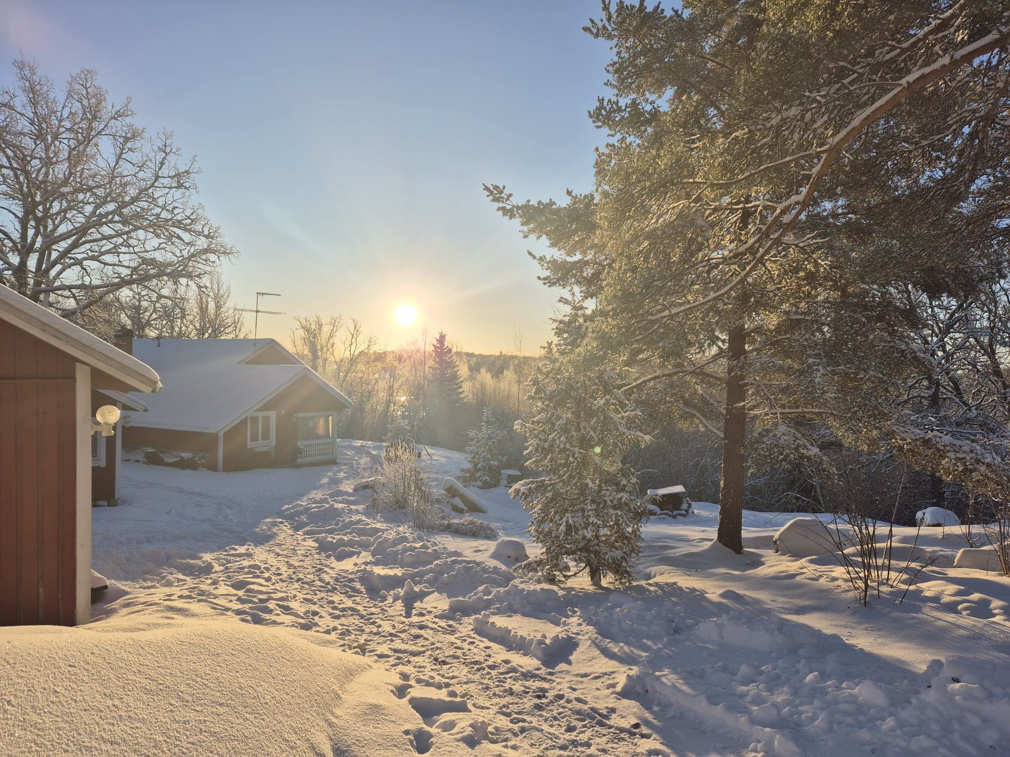 Säljarens bild.
