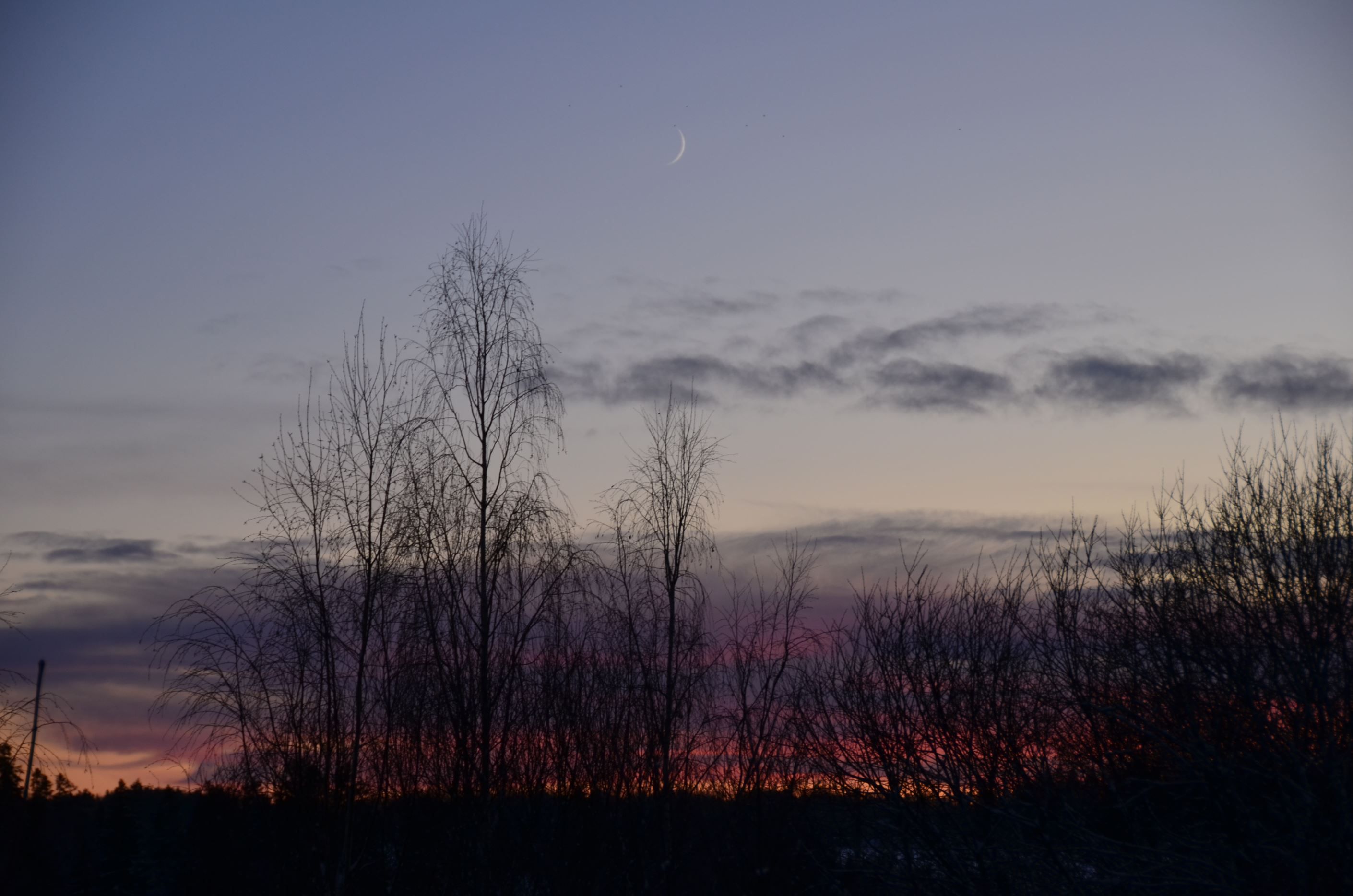 Säljarens bild.