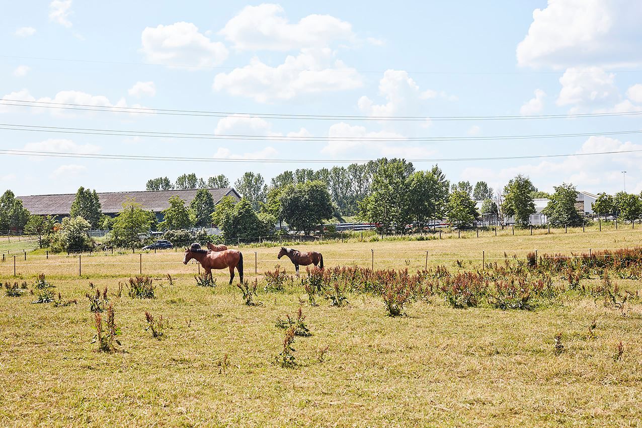 En kort promenad bort ligger JFK (Jönköpings fältrittklubb)