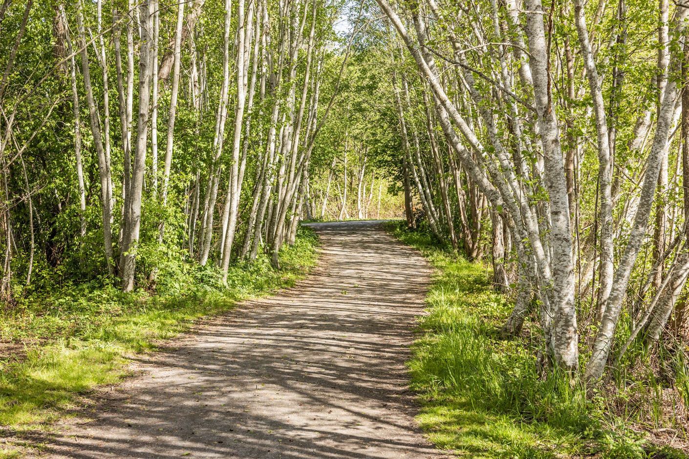 Rocksjön runt på nära avstånd
