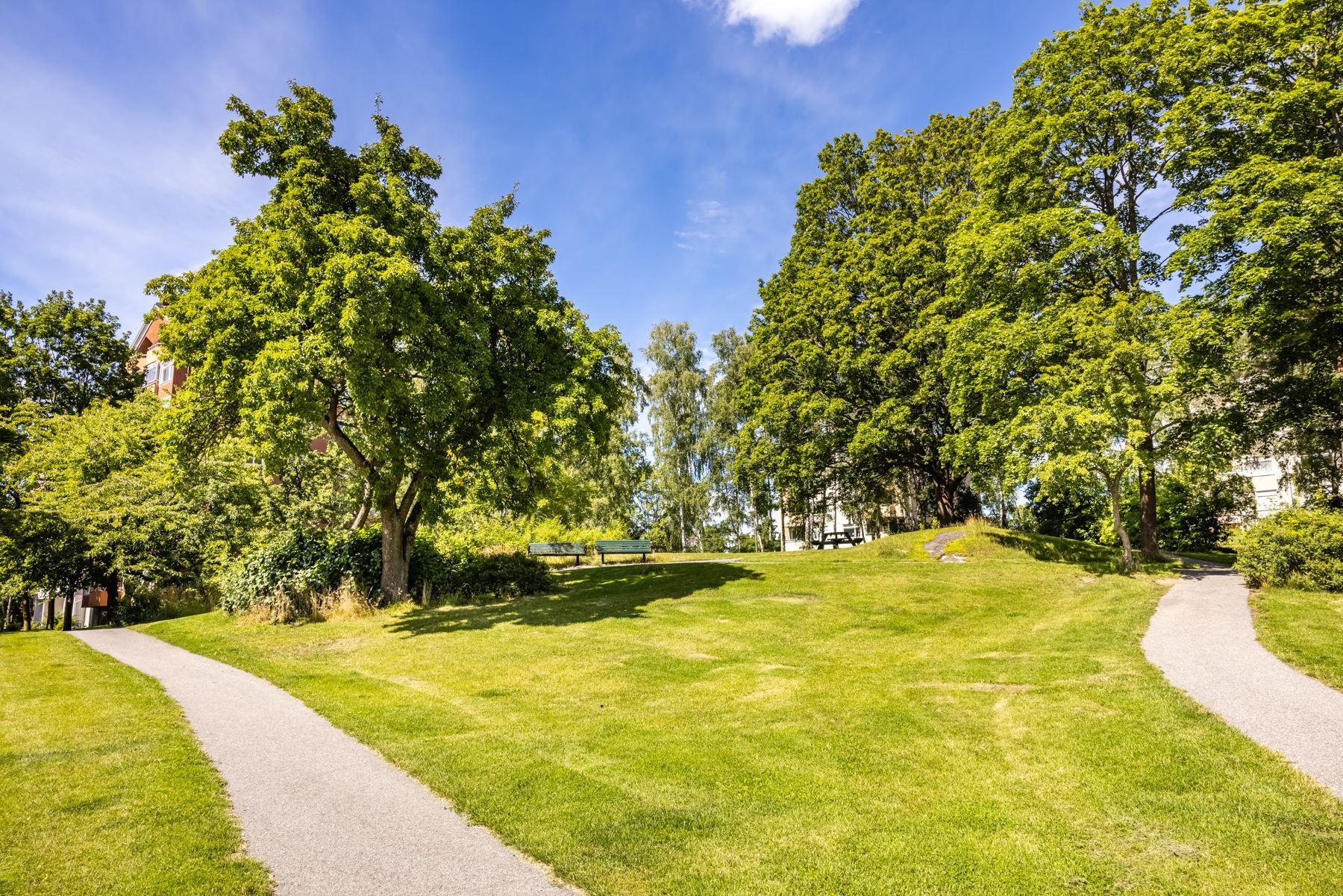 Föreningens grönskande omgivningar