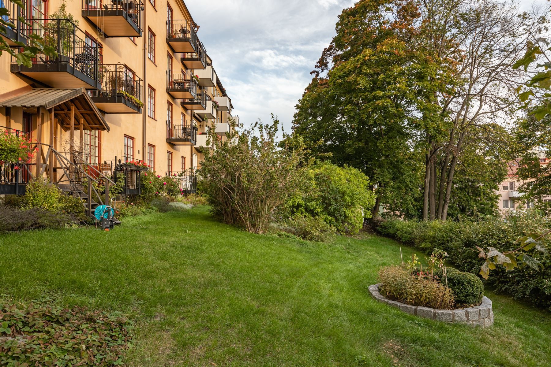 Grönskande innergård