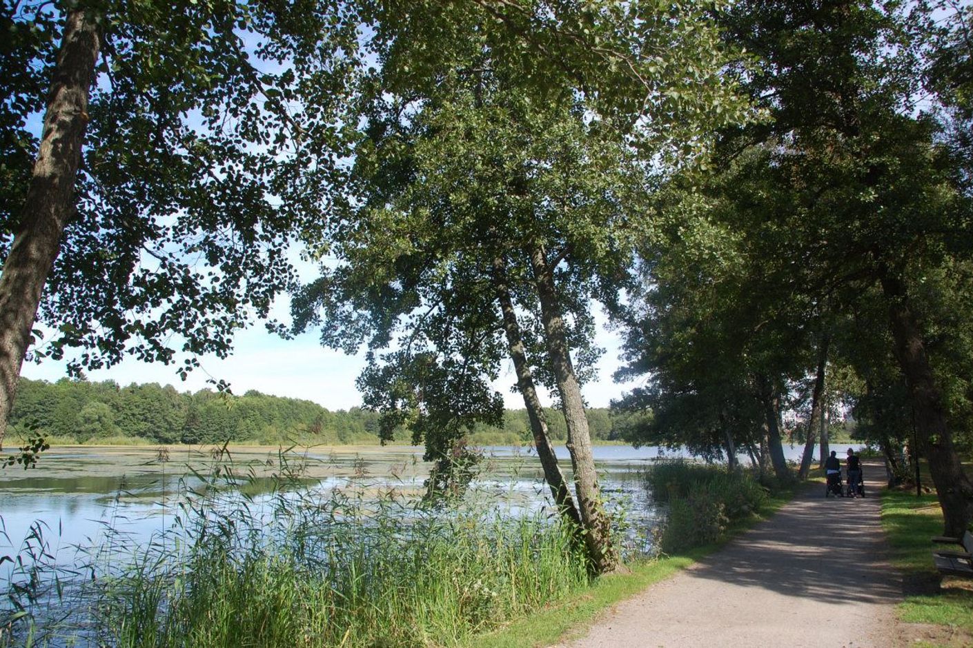 Råstasjön