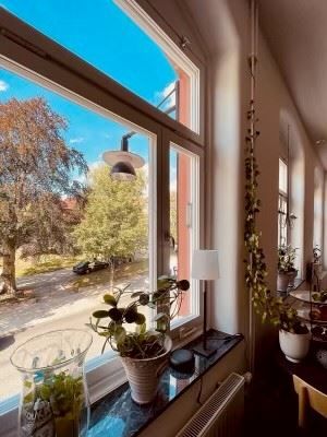 Säljarens egna bild