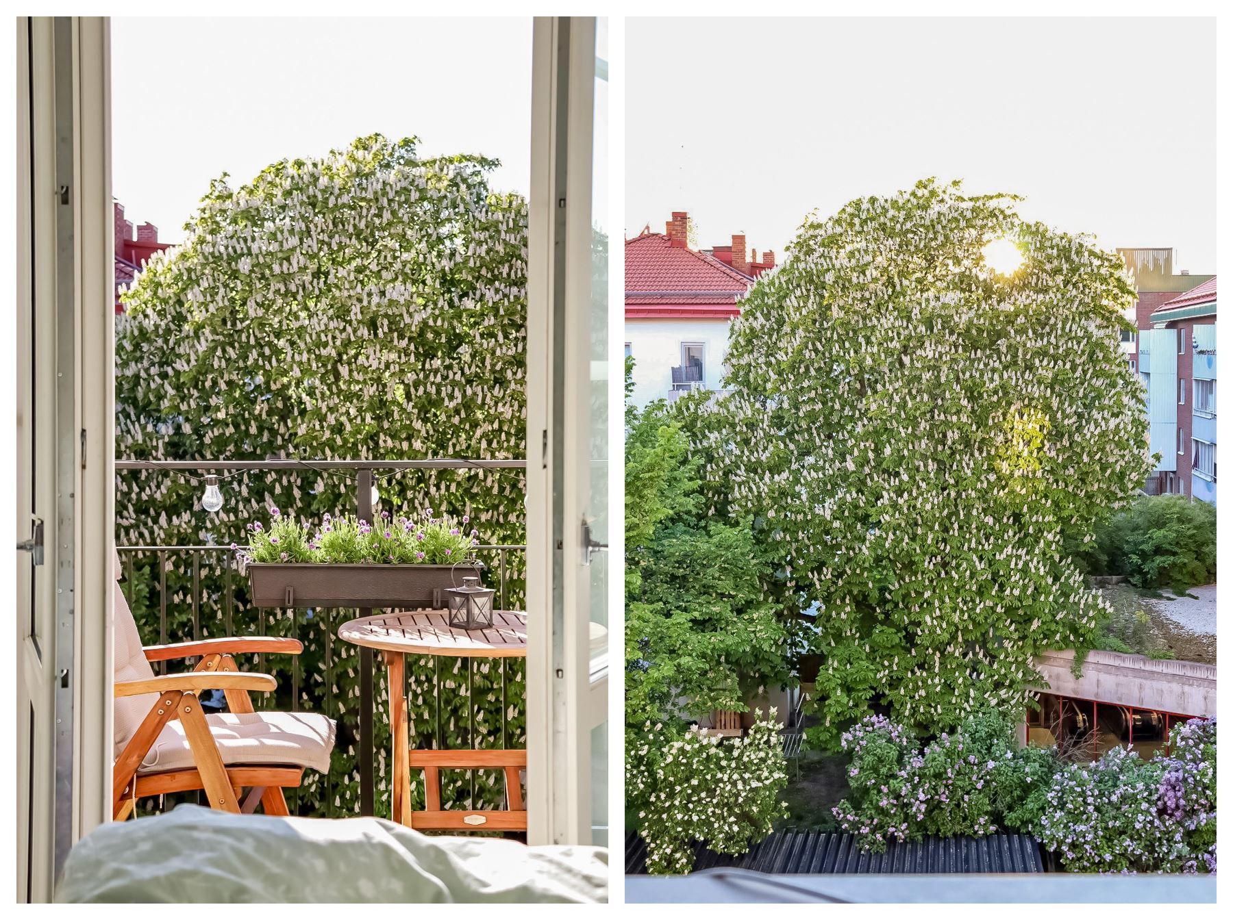 Grönskande vy från balkongen (säljarnas bild)