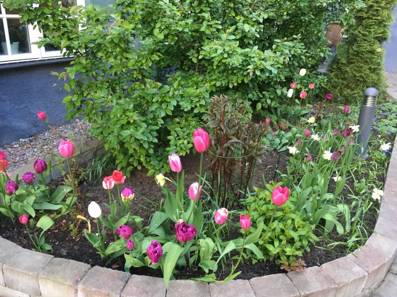 Privat bild på innergård