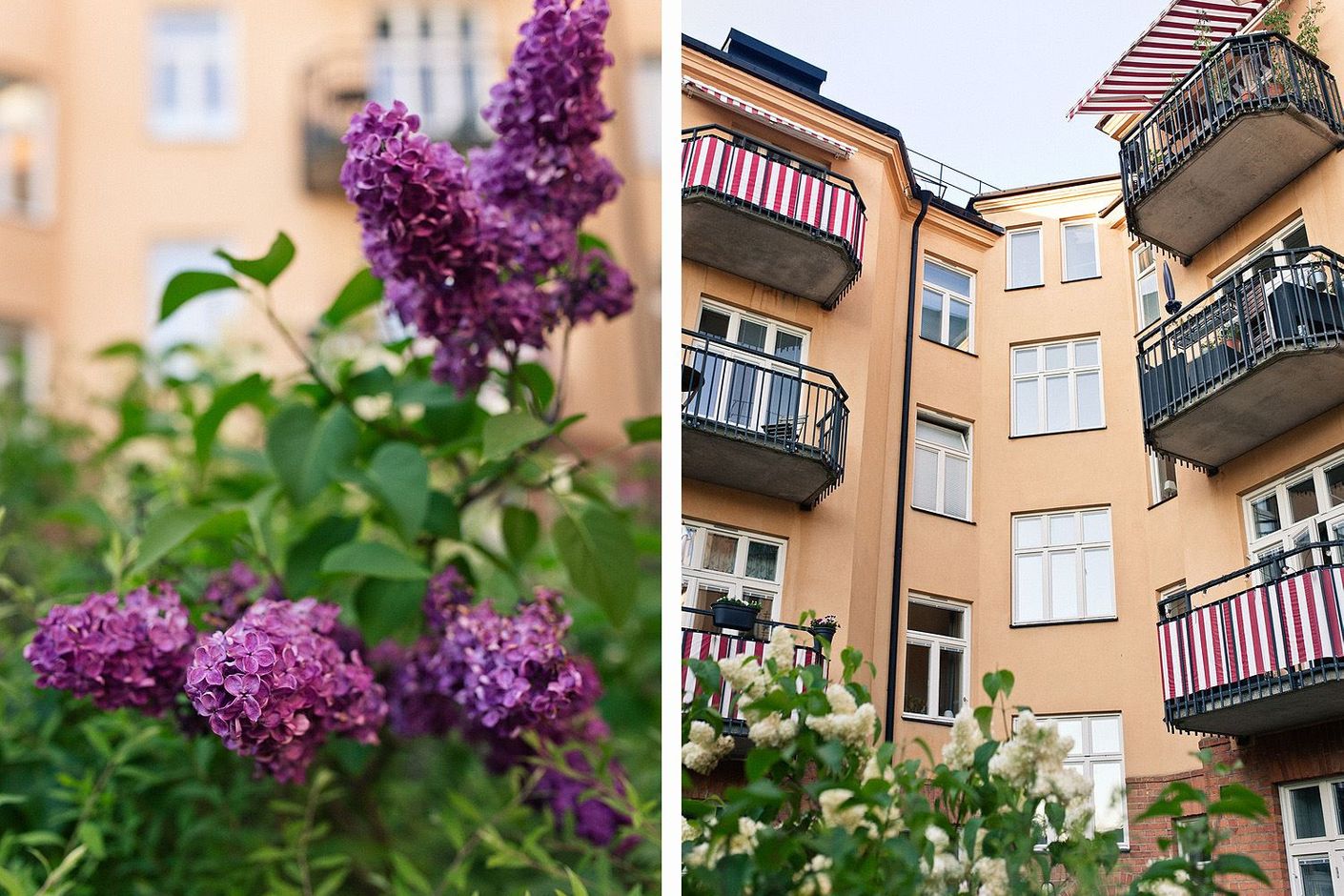 Vackra innergården