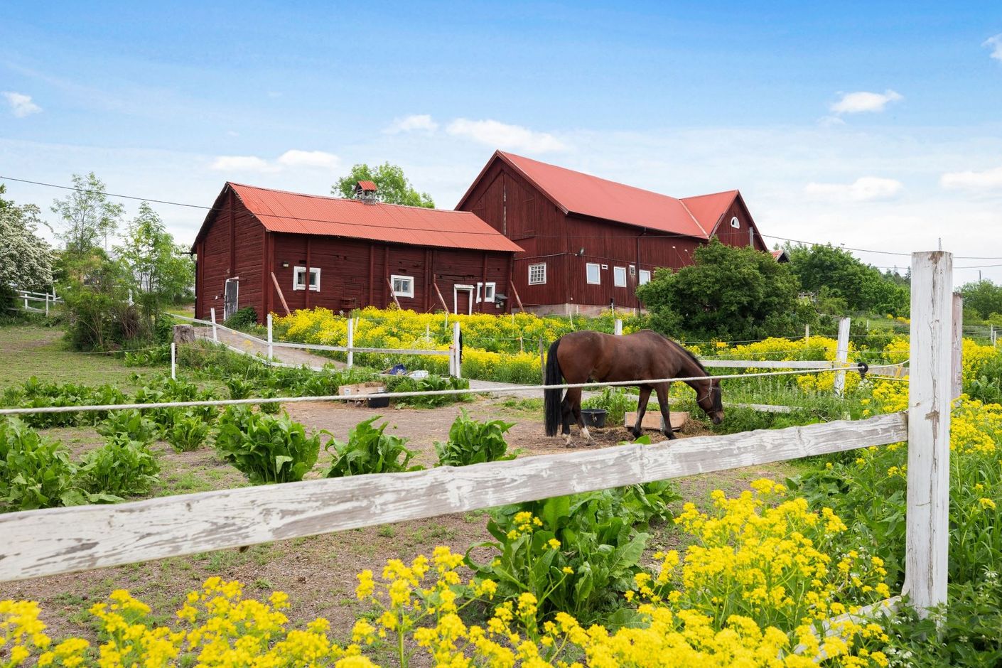 Ursvik