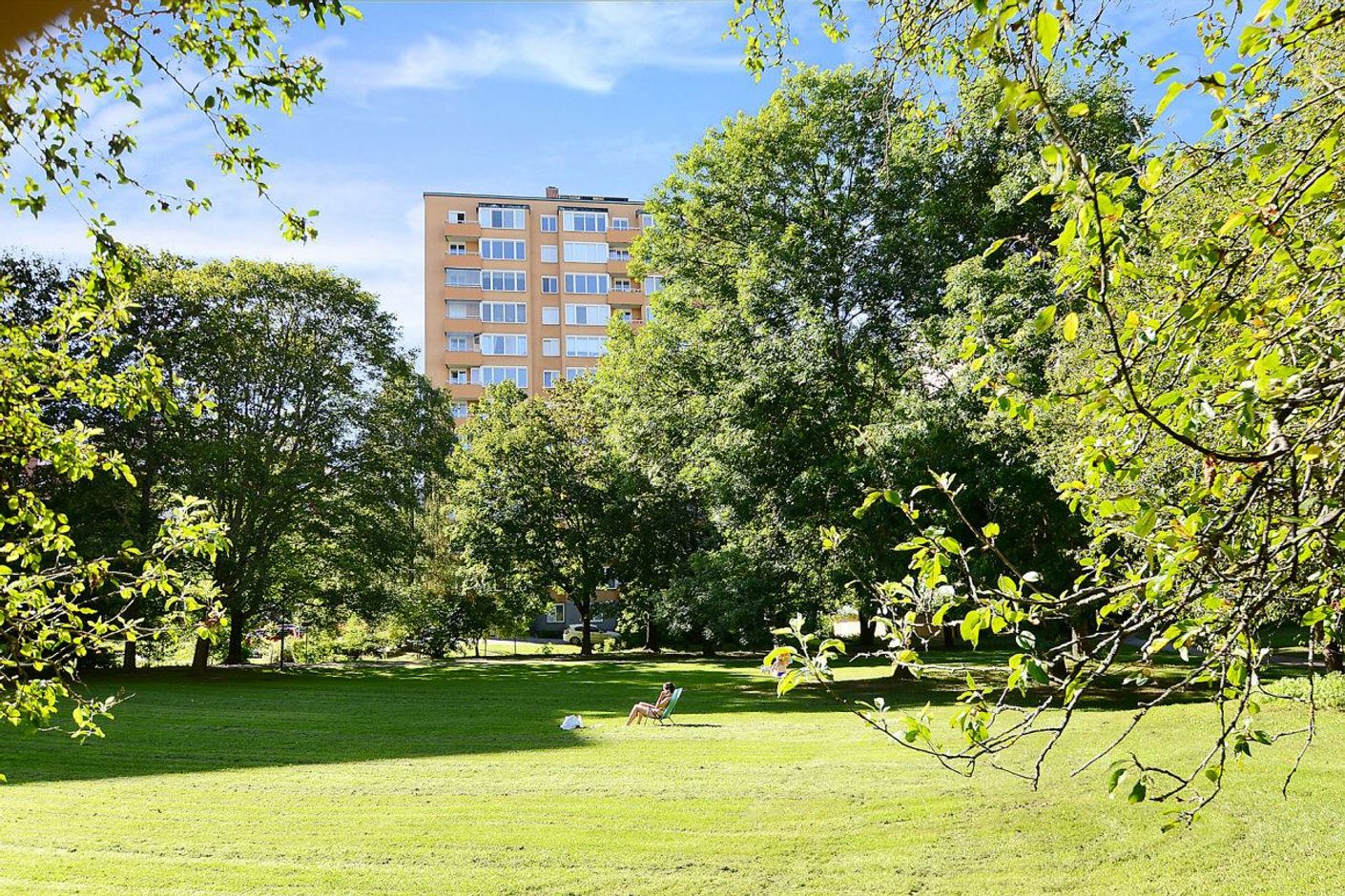 Skytteholmsparkens gröna ytor