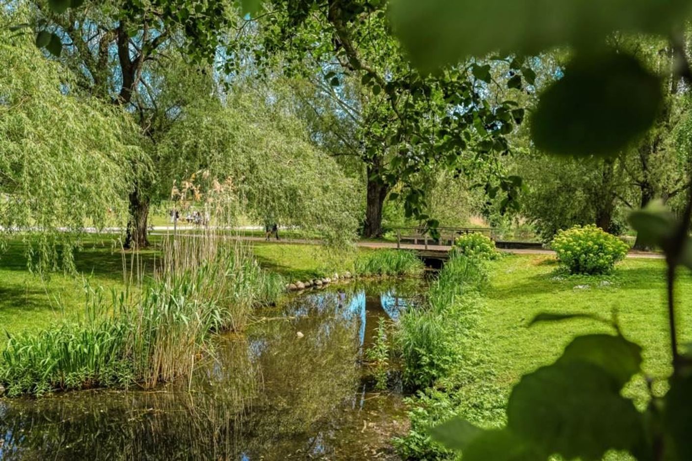 Lågupplöst