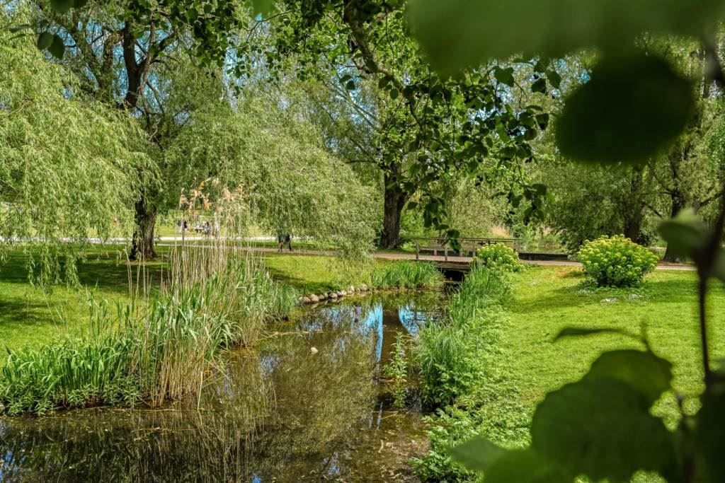 Lågupplöst