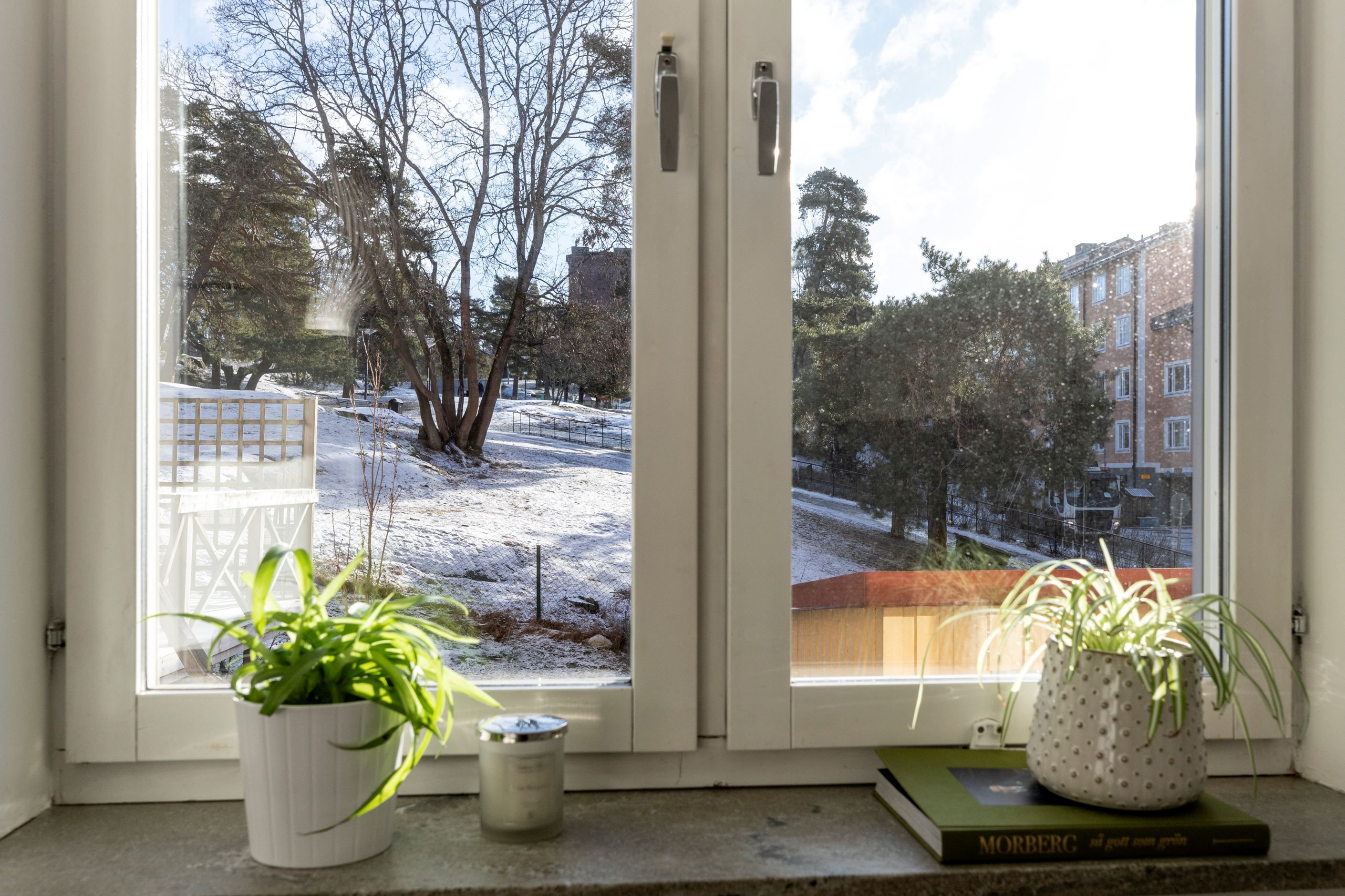 Vackra parkutsikten!
