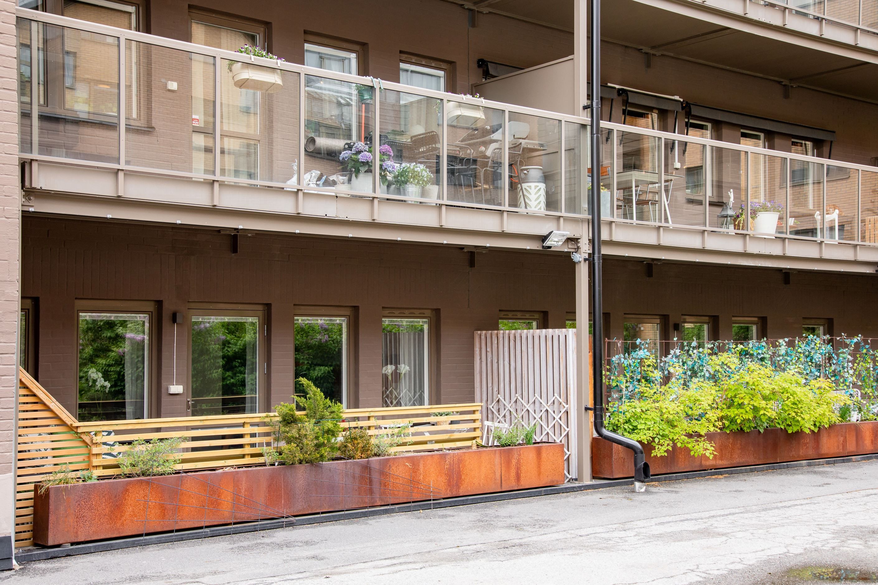 Mot grönskande innergård