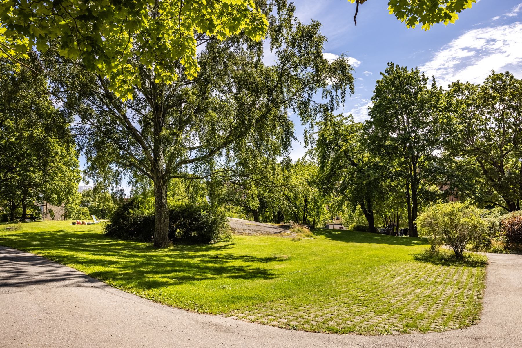 Föreningens grönskande omgivningar