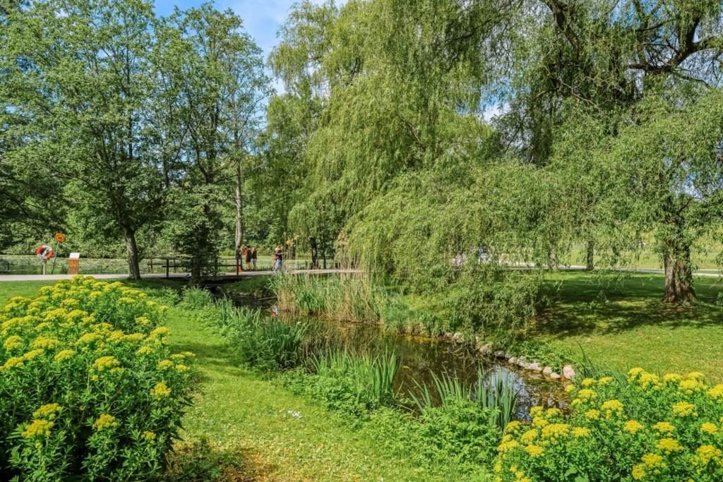 Lågupplöst