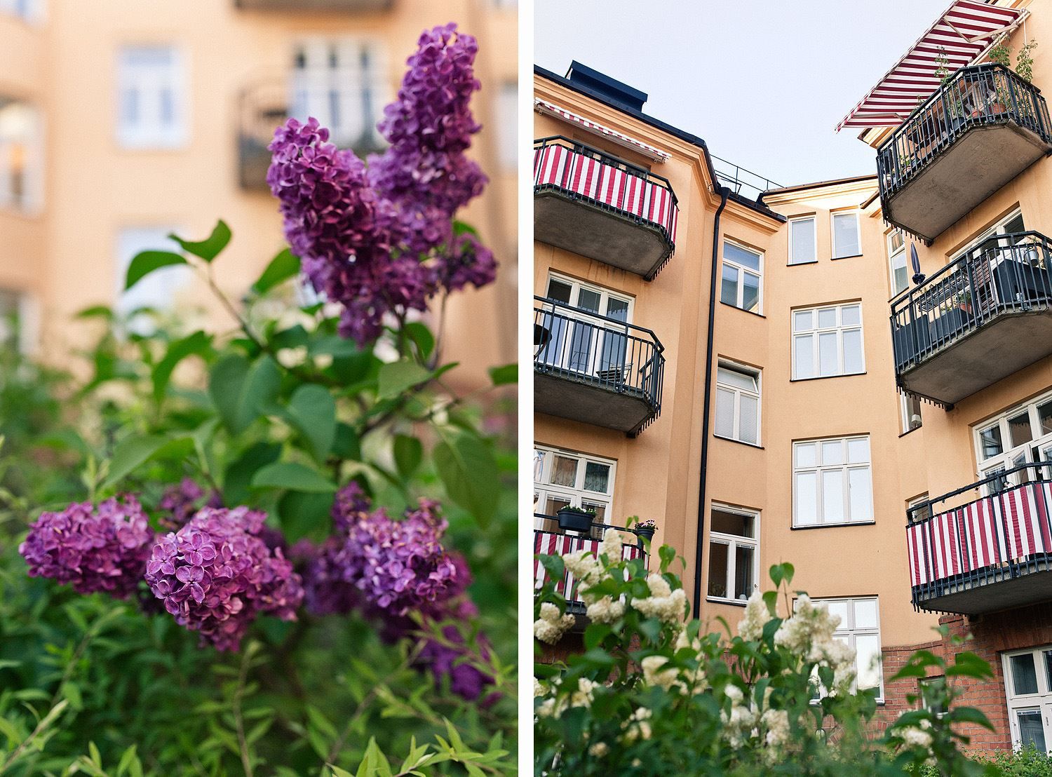 Vackra innergården