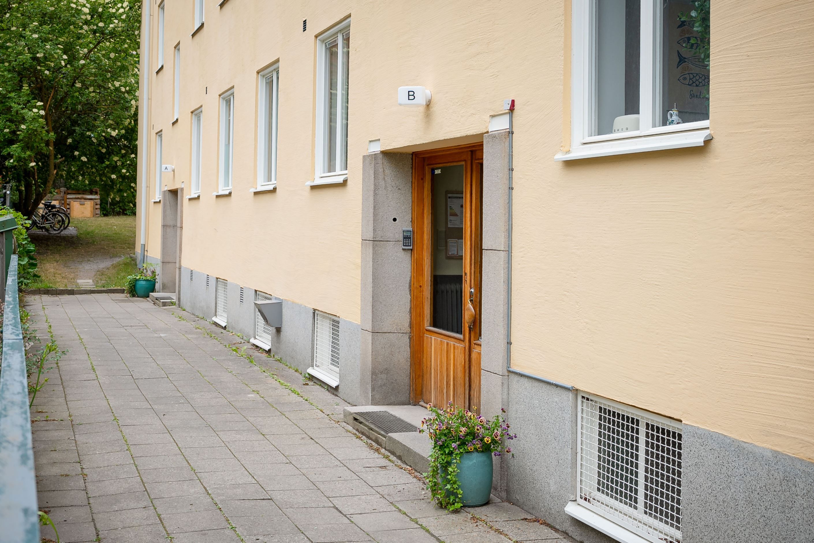 Exteriör