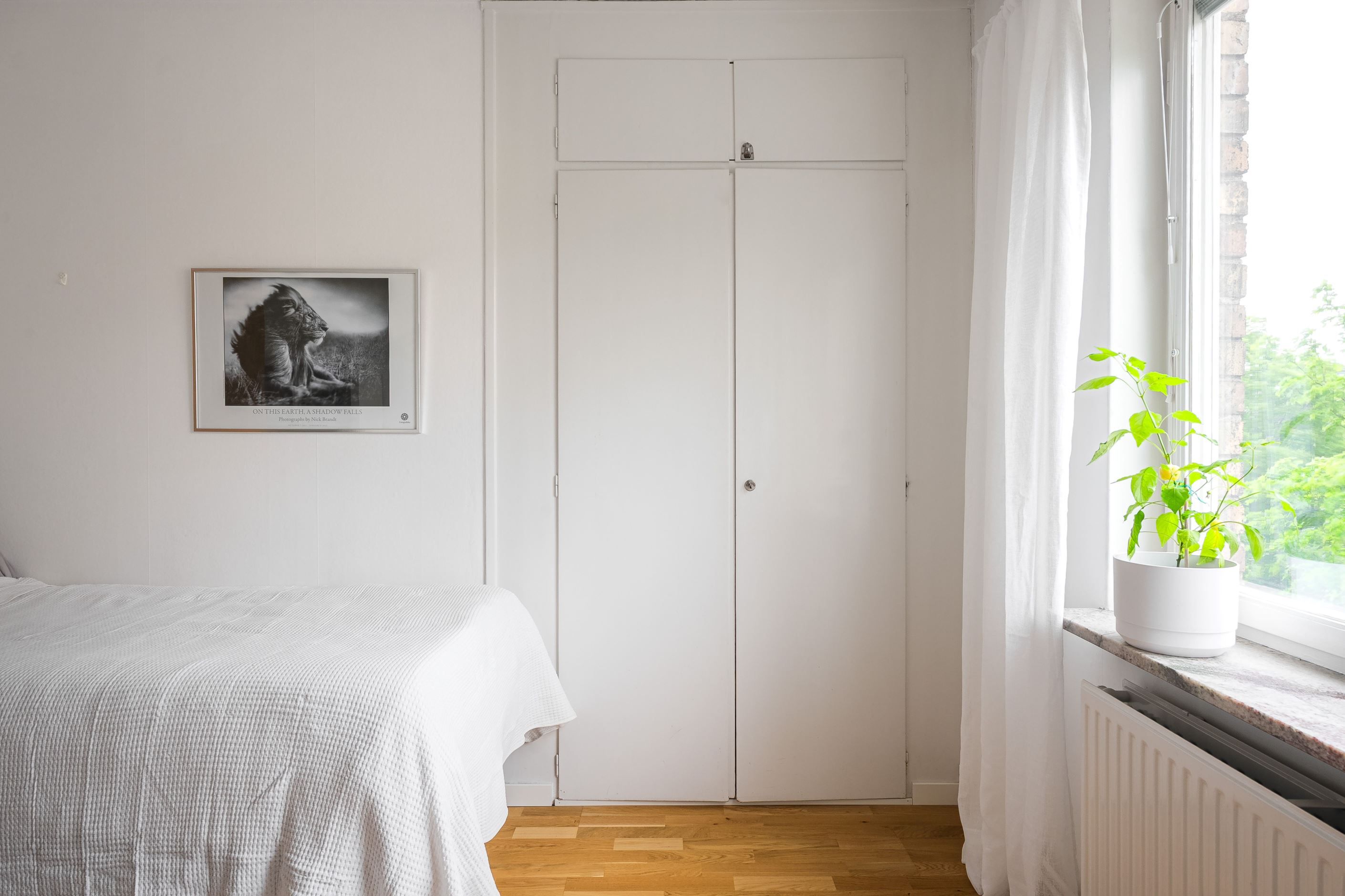 Områdesbild