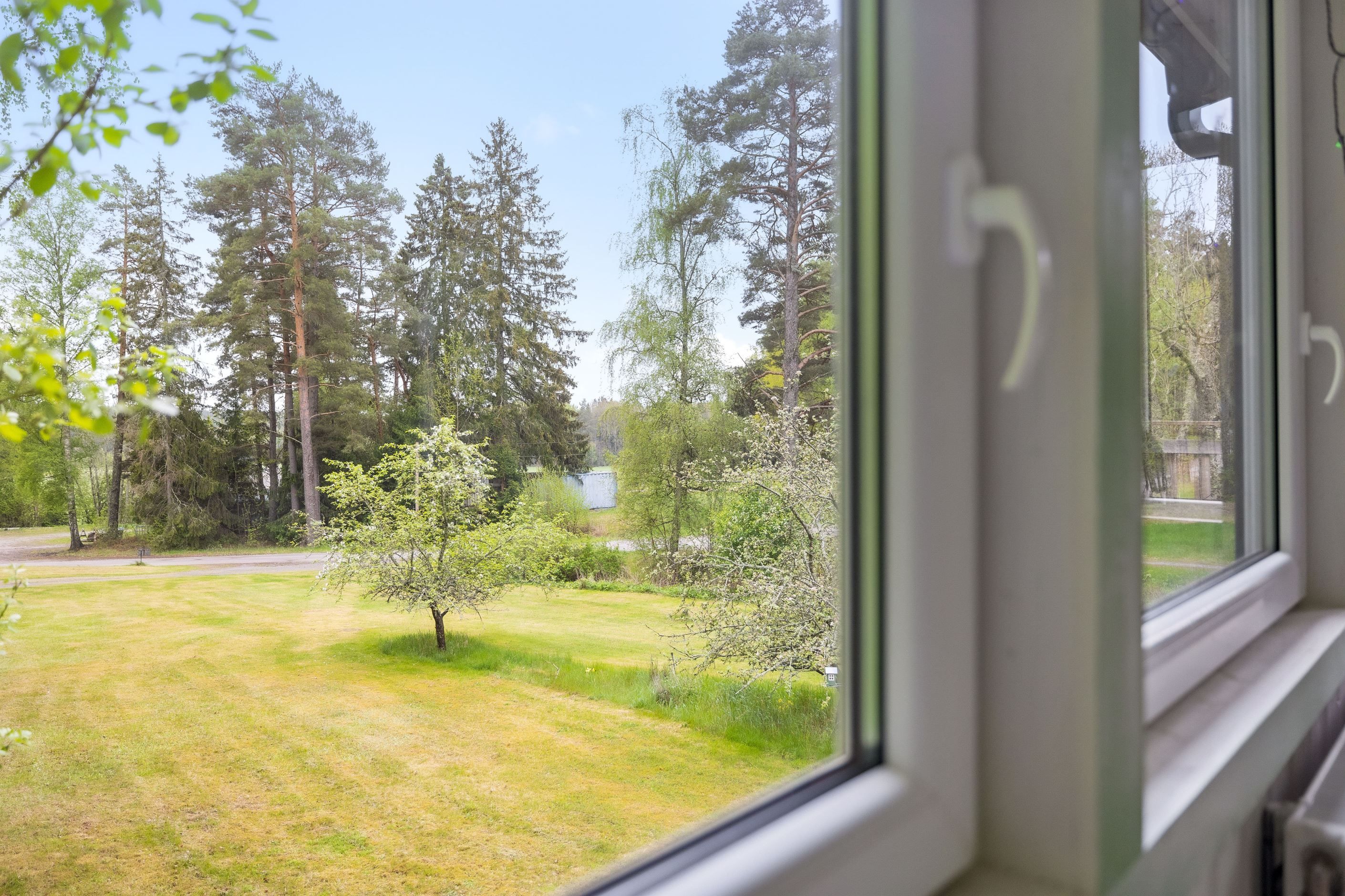 Utsikt över tomten från verandan