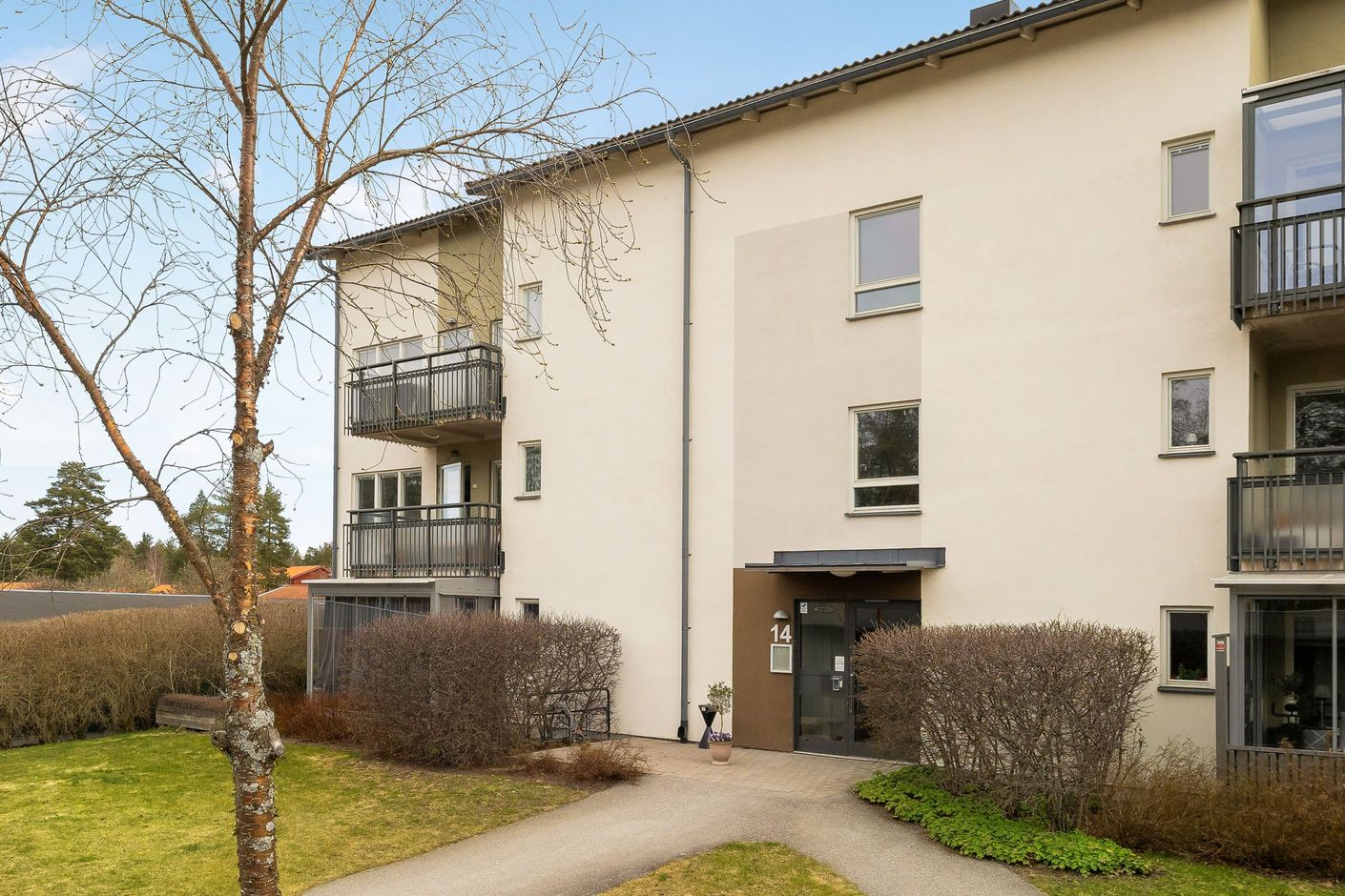 Exteriör