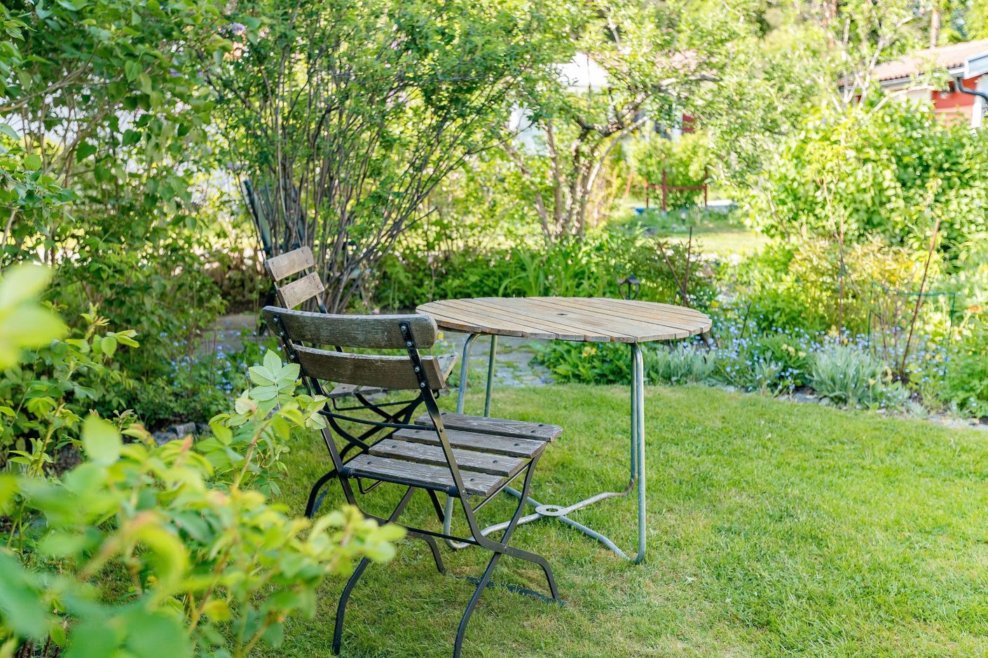 Lummig trädgård