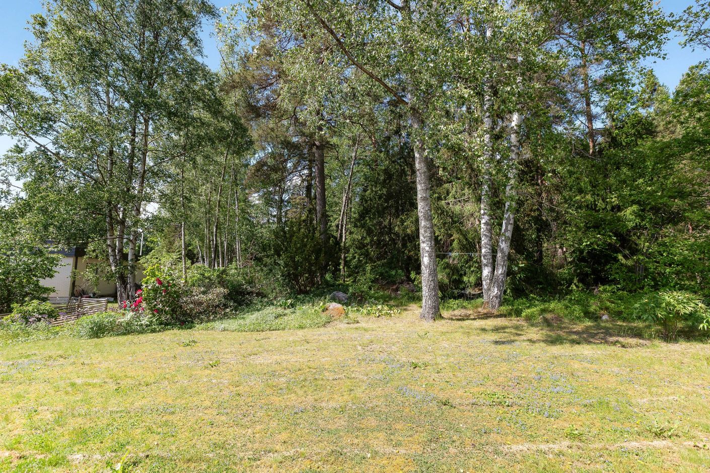 Baksida mot skogsallmänning