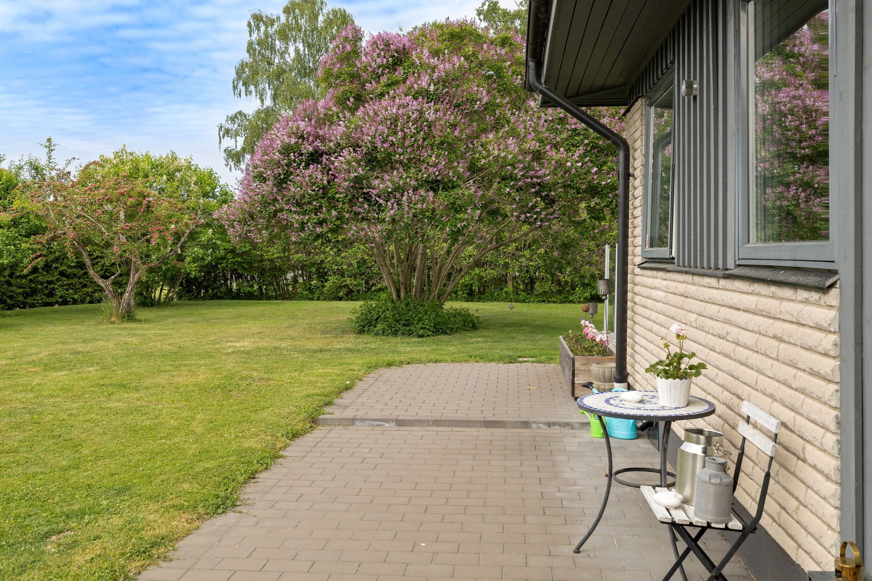 Trädgård